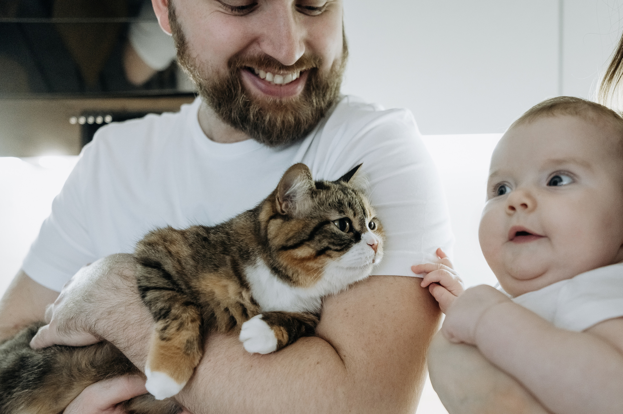 Катя Костя Кира