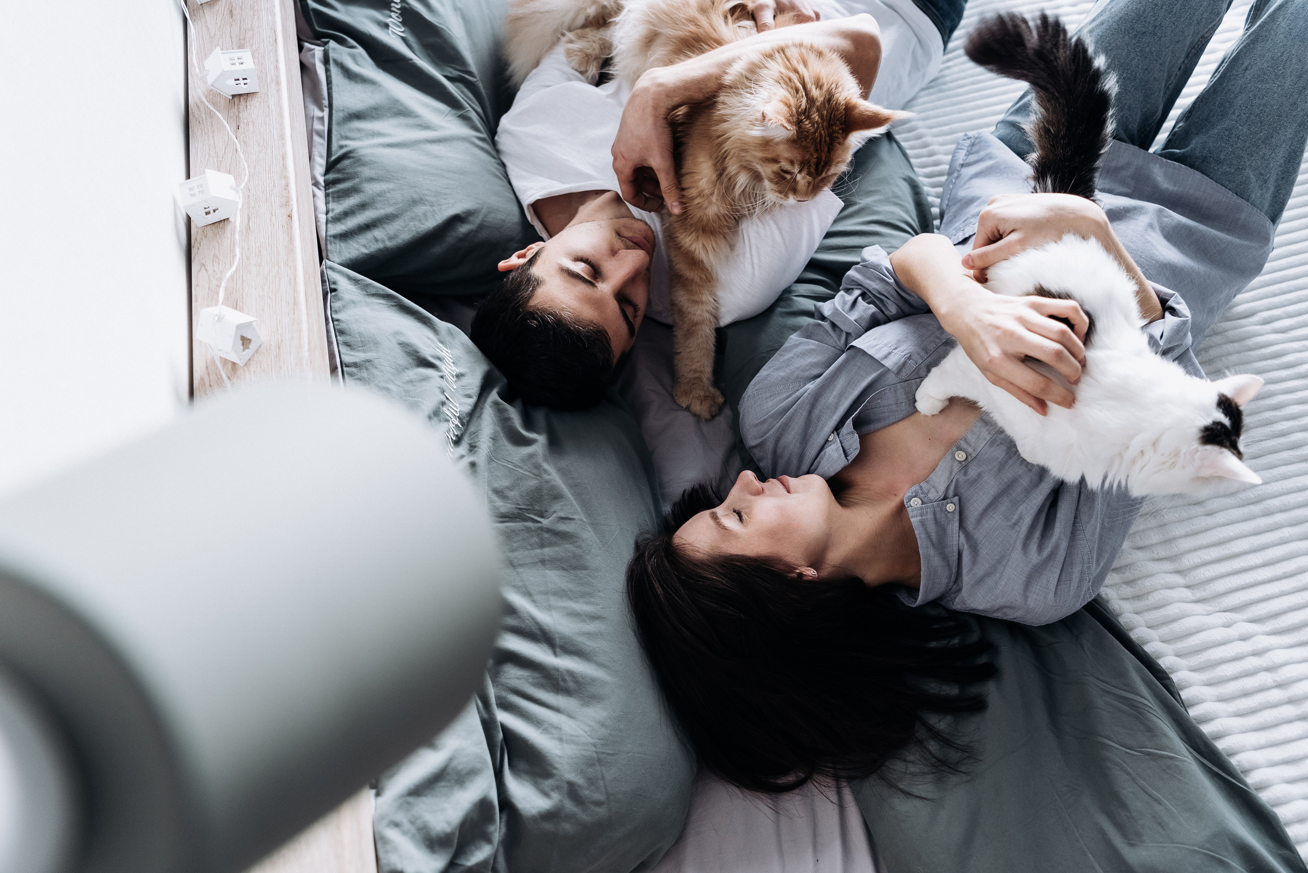 Анжела Дима и коты