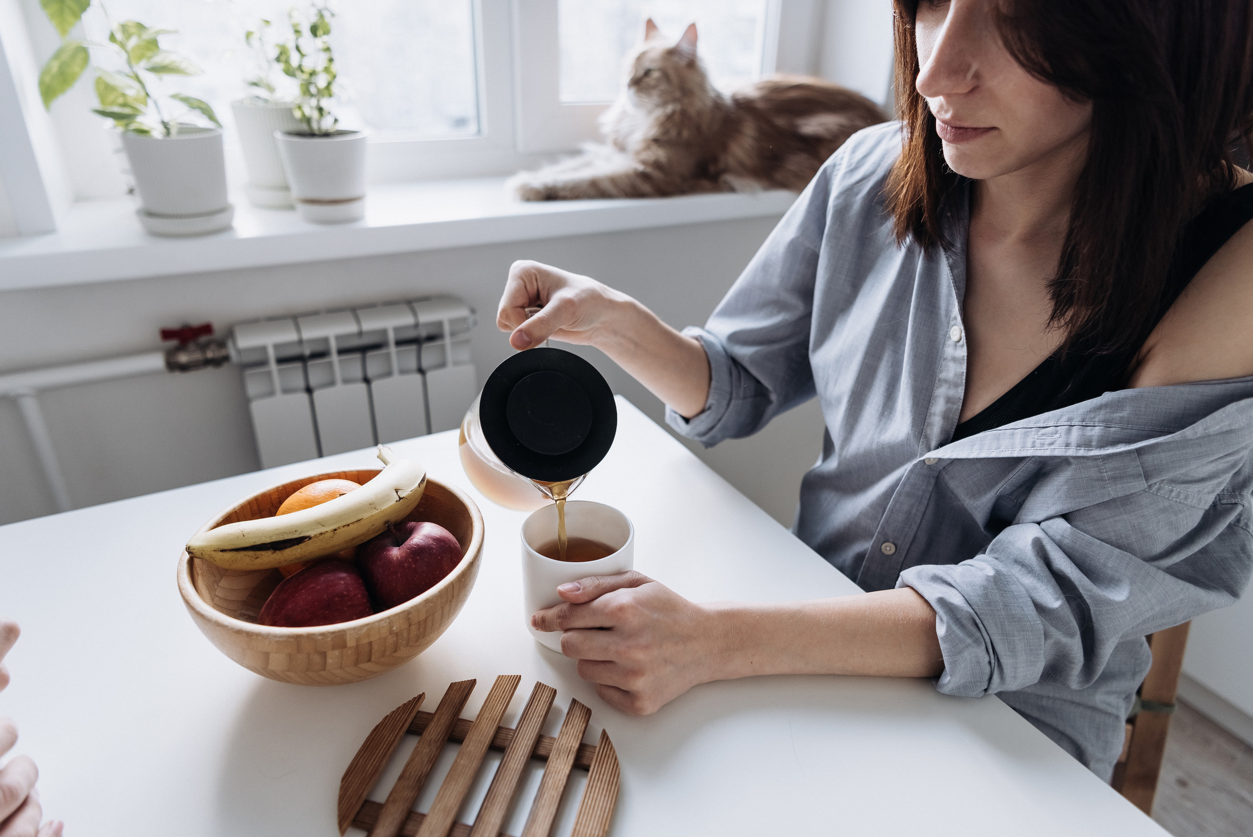 Анжела Дима и коты