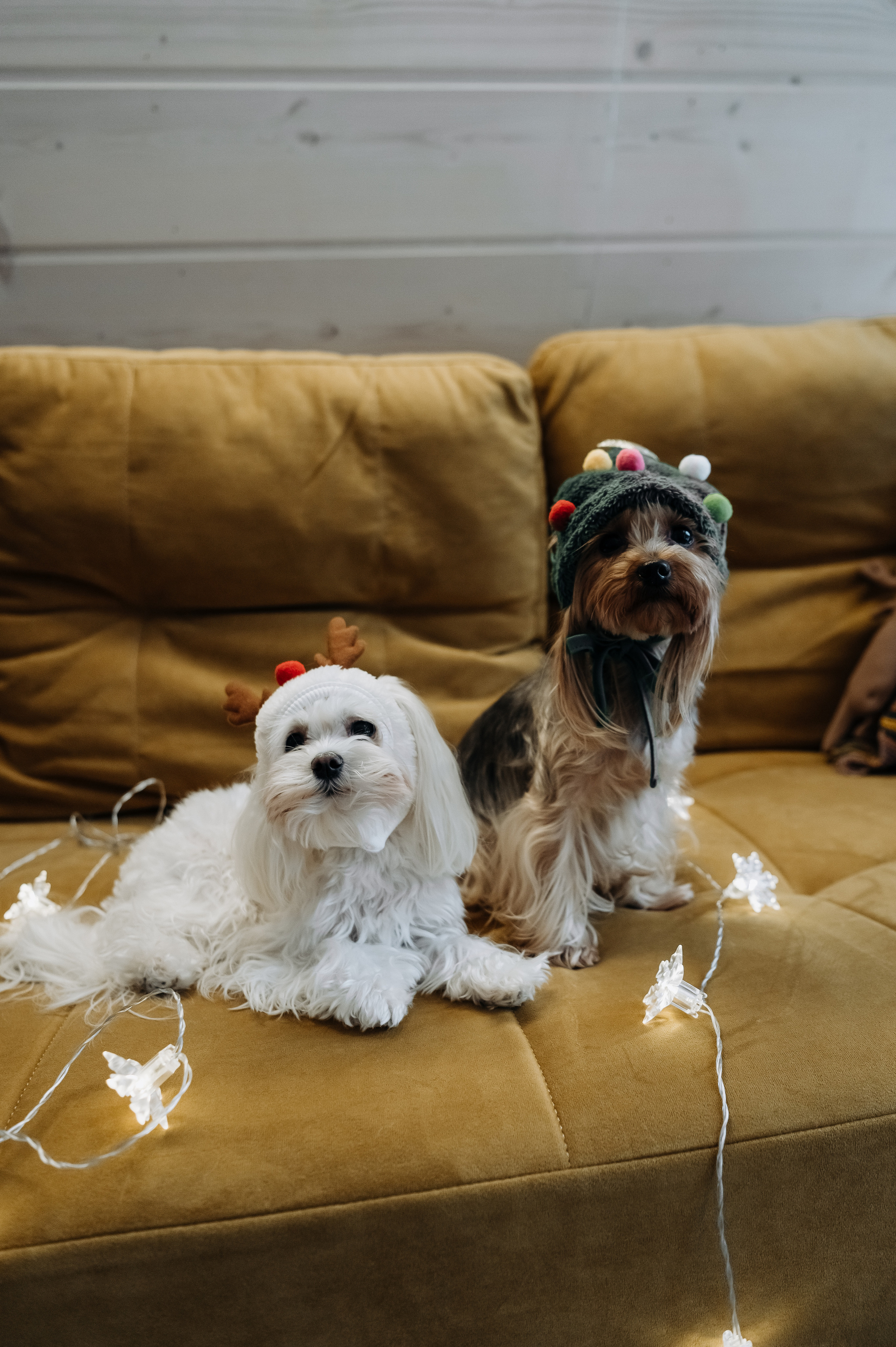 Оля, Саша, Кристина