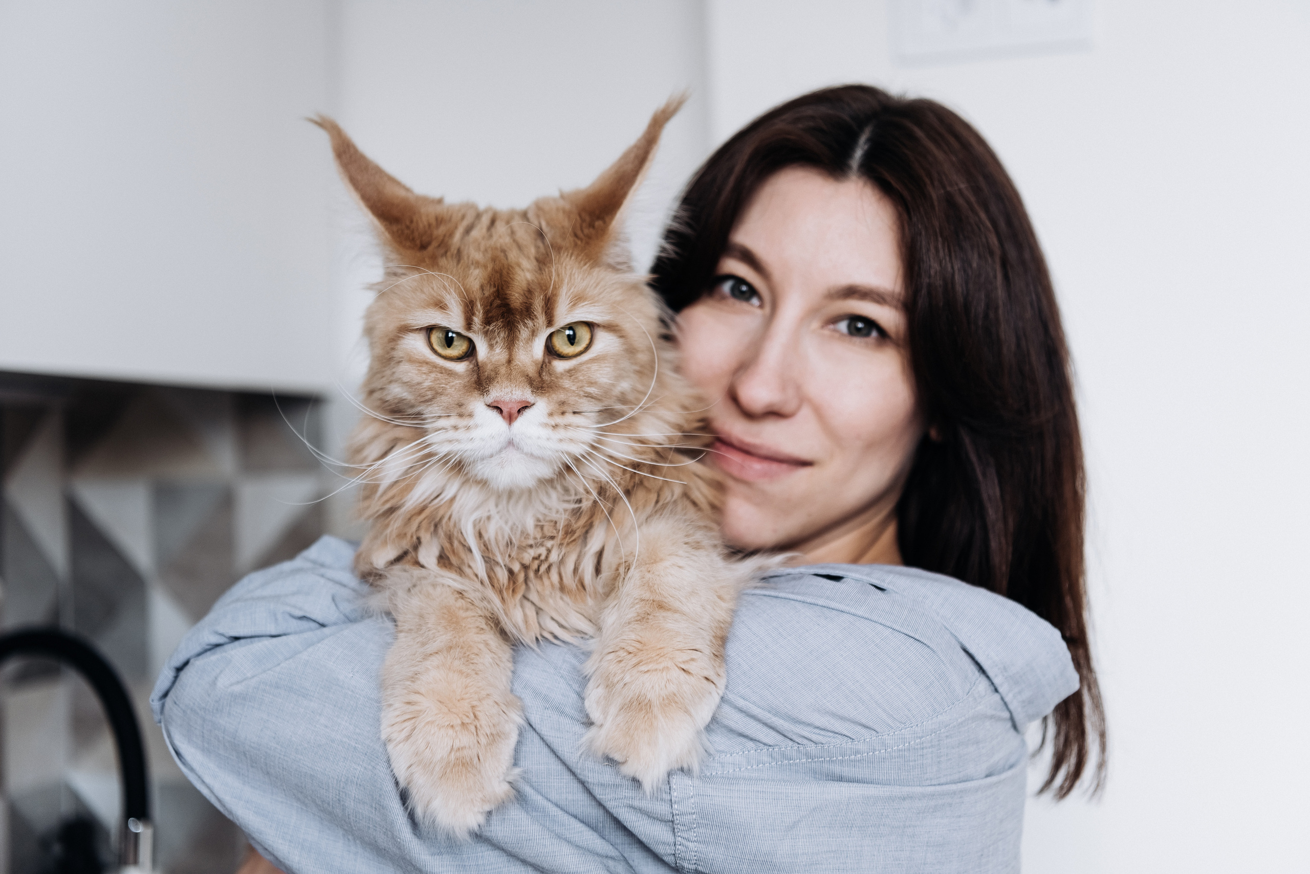 Анжела Дима и коты