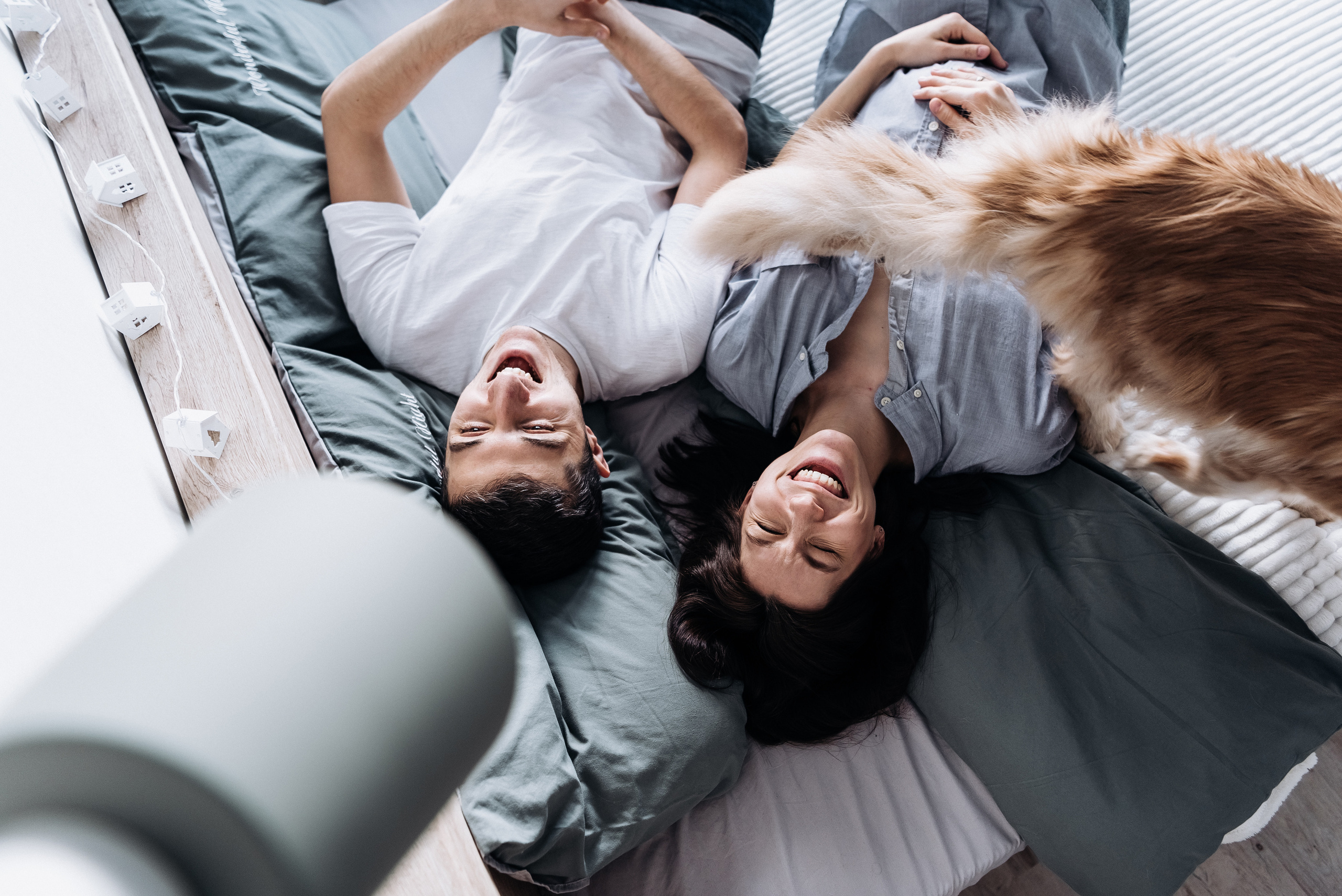 Анжела Дима и коты