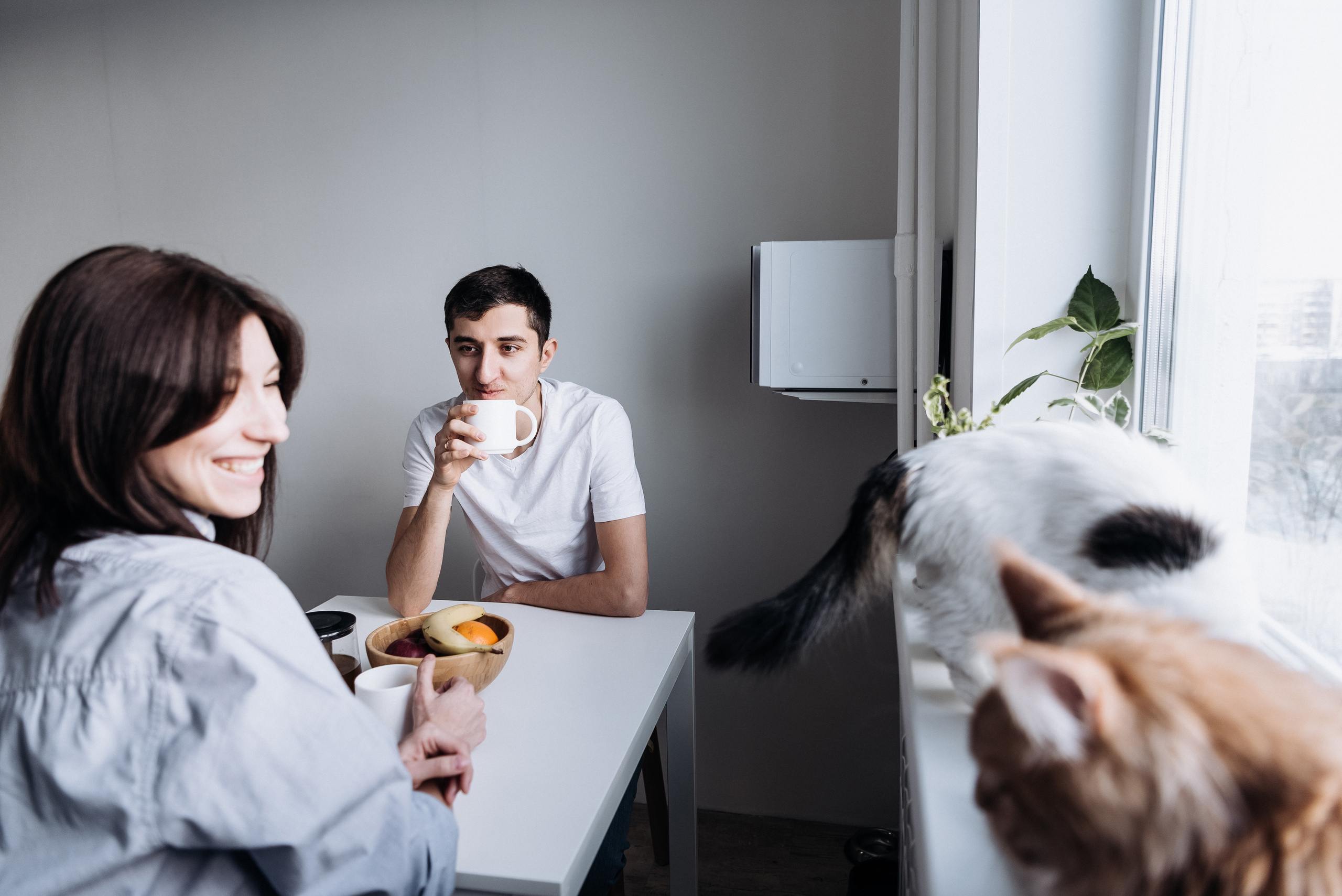 Анжела Дима и коты