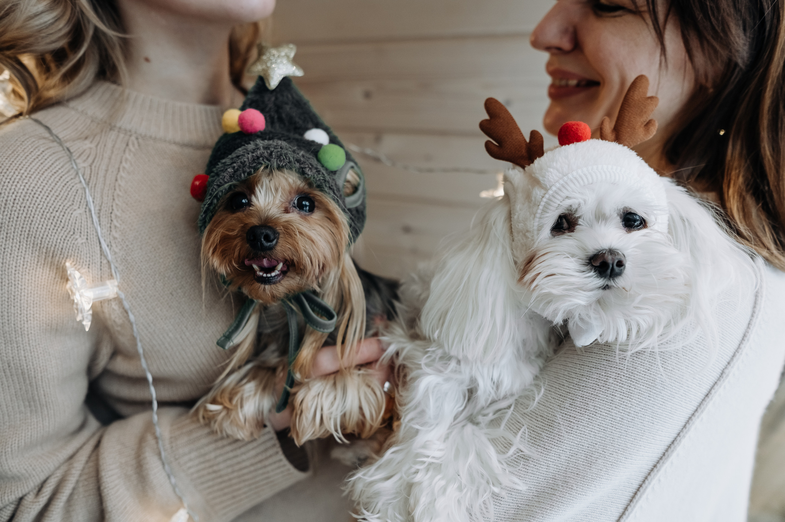 Оля, Саша, Кристина