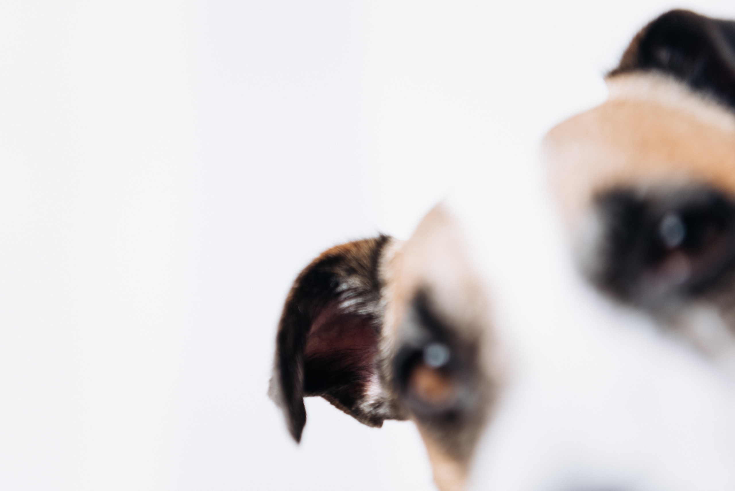 Таня и Денди