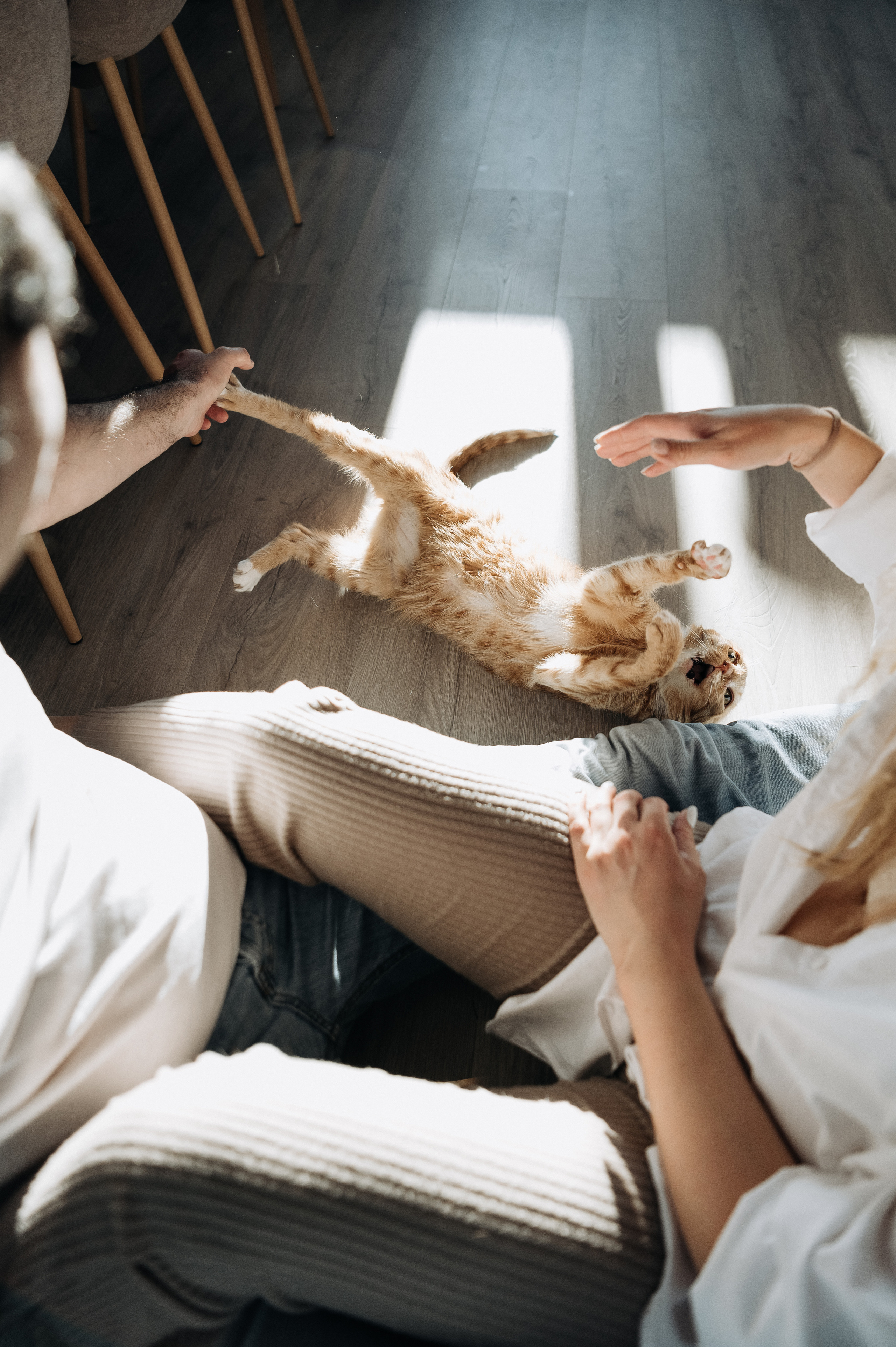 Настя, Денис, Мия