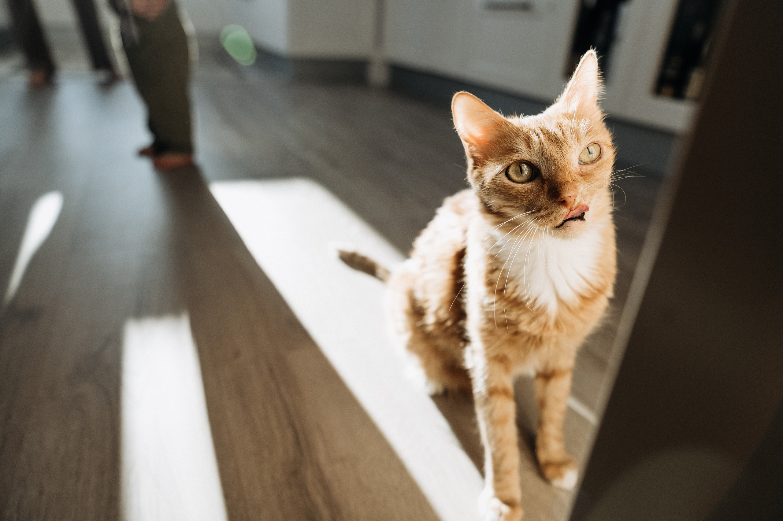 Настя, Денис, Мия