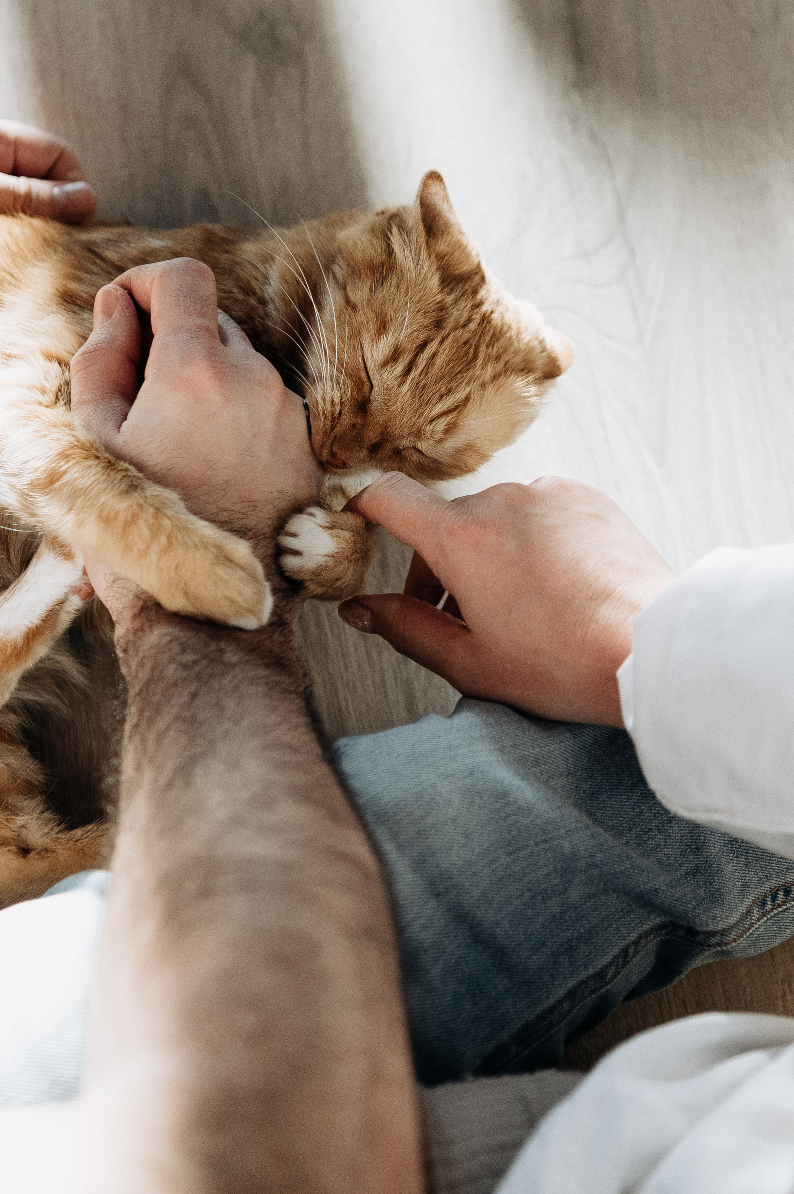 Настя, Денис, Мия