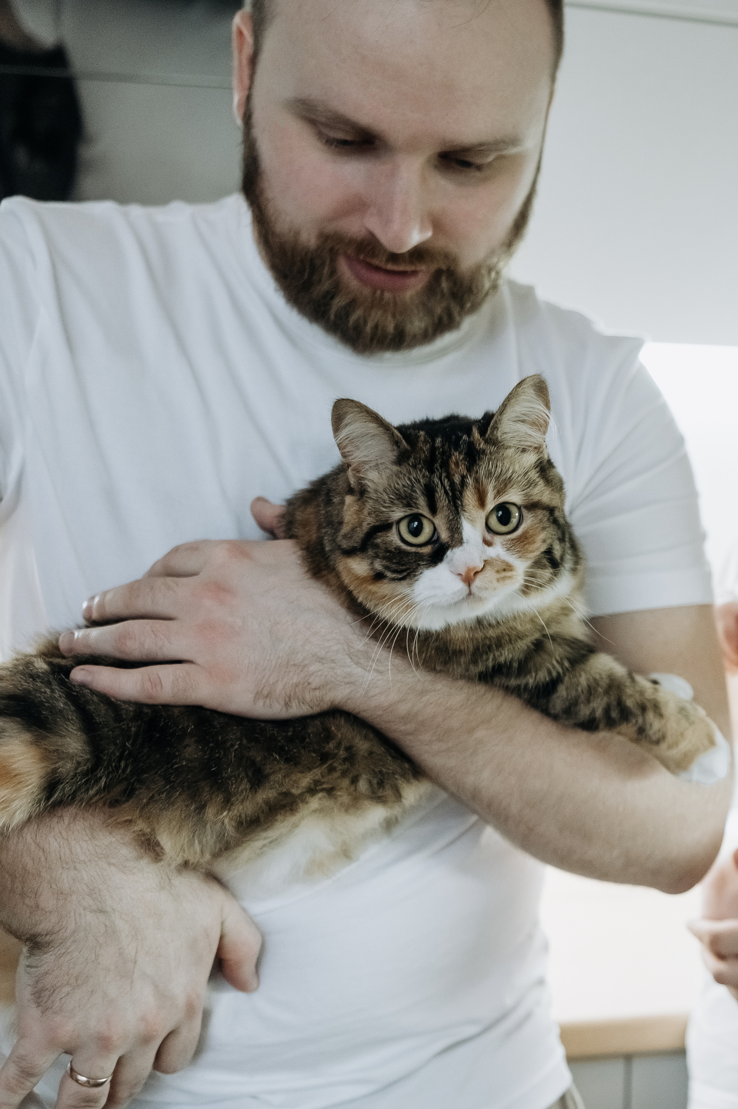 Катя Костя Кира