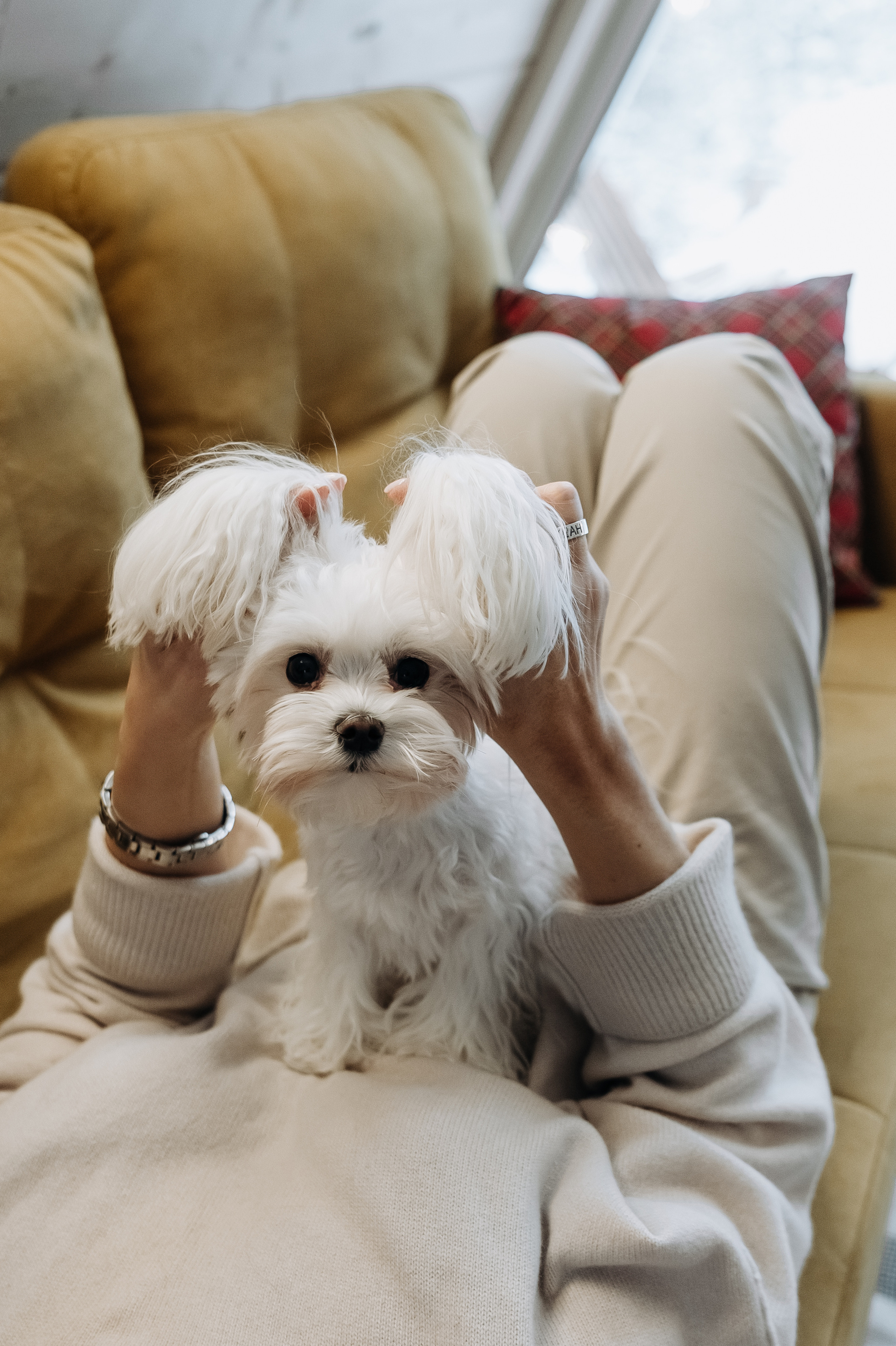 Оля, Саша, Кристина