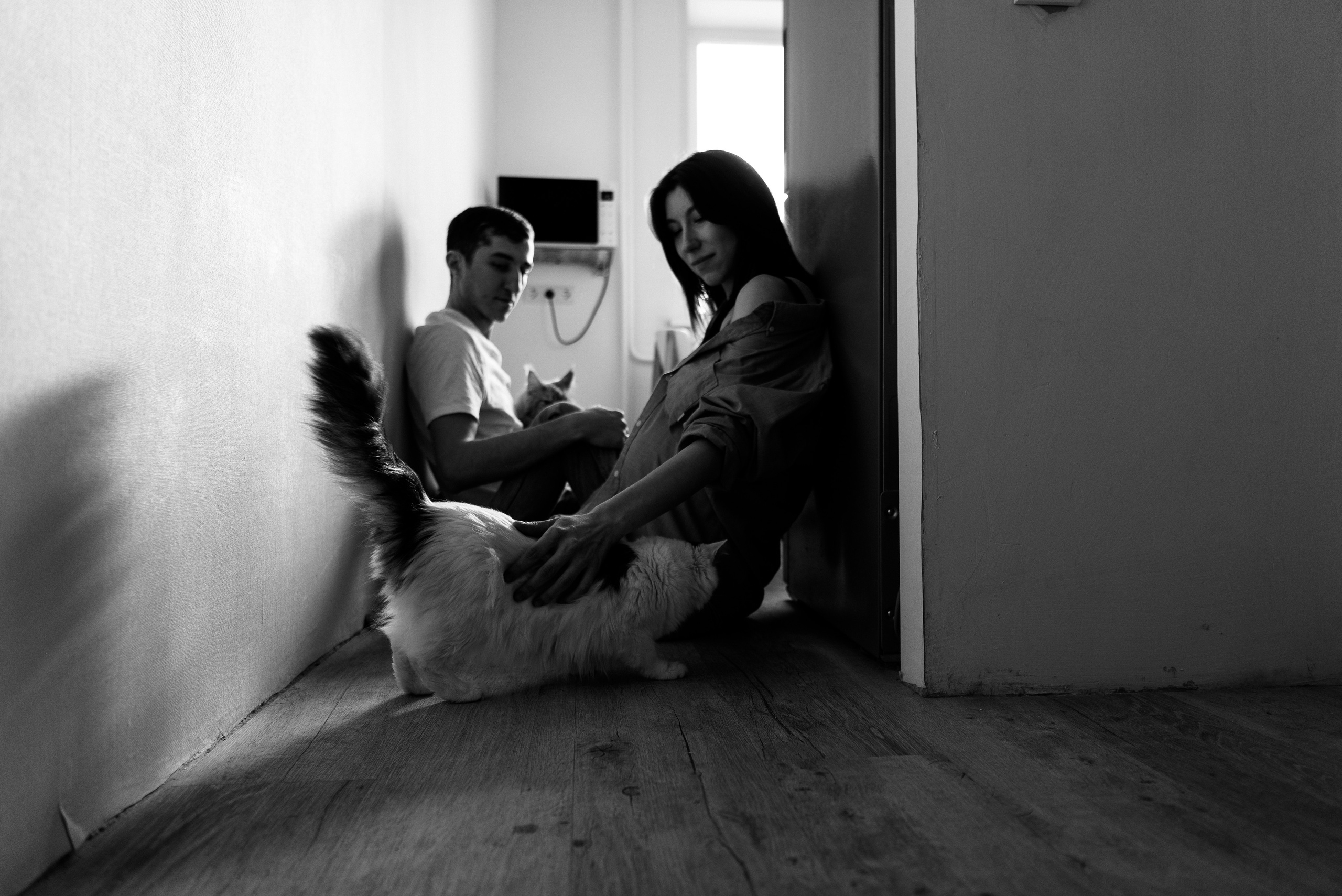 Анжела Дима и коты