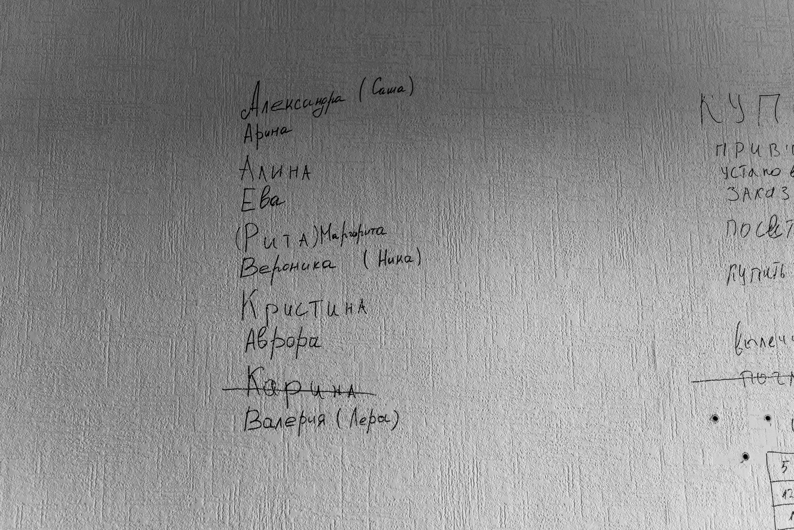 Анжела Дима и коты