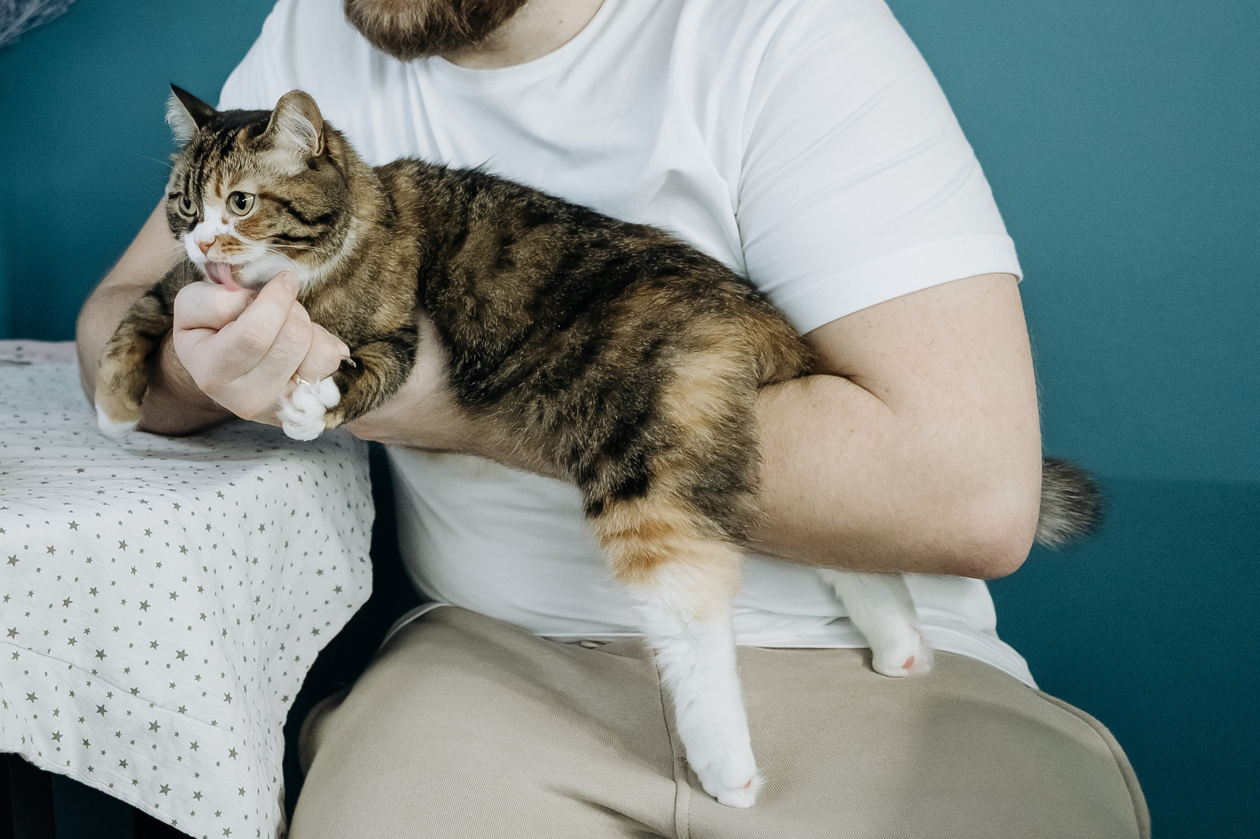 Катя Костя Кира