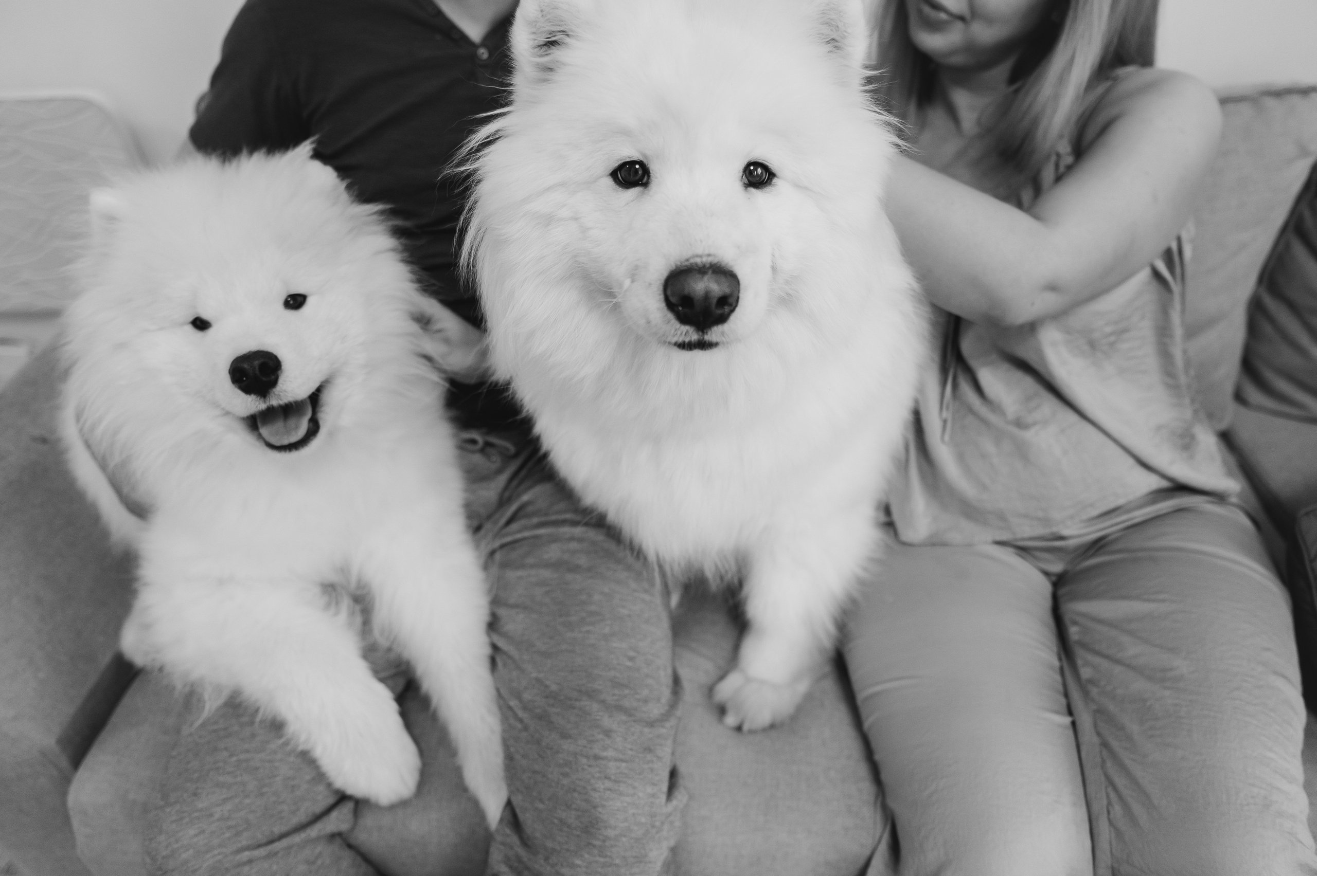 Оля, Саша, Сережа