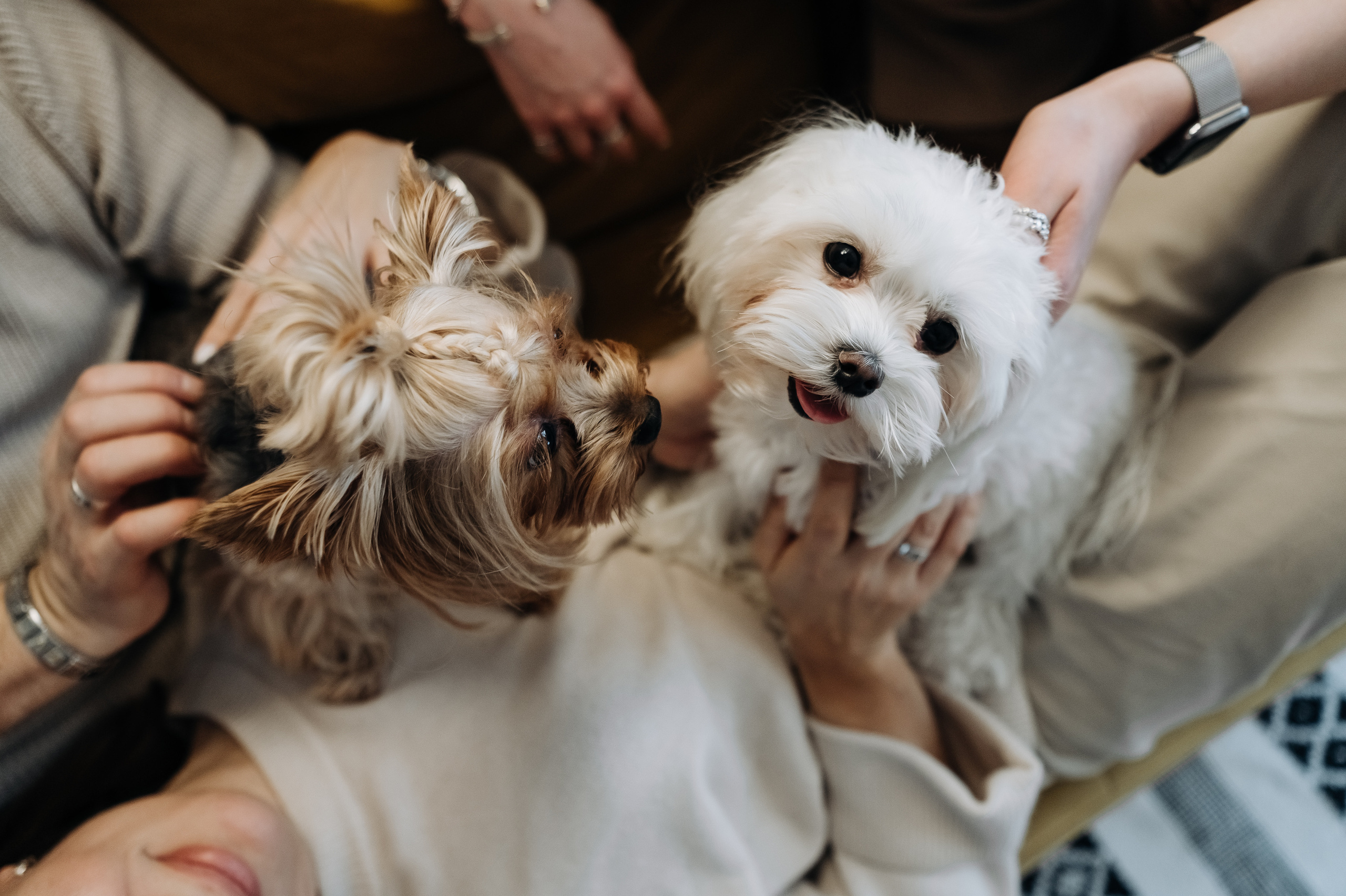 Оля, Саша, Кристина