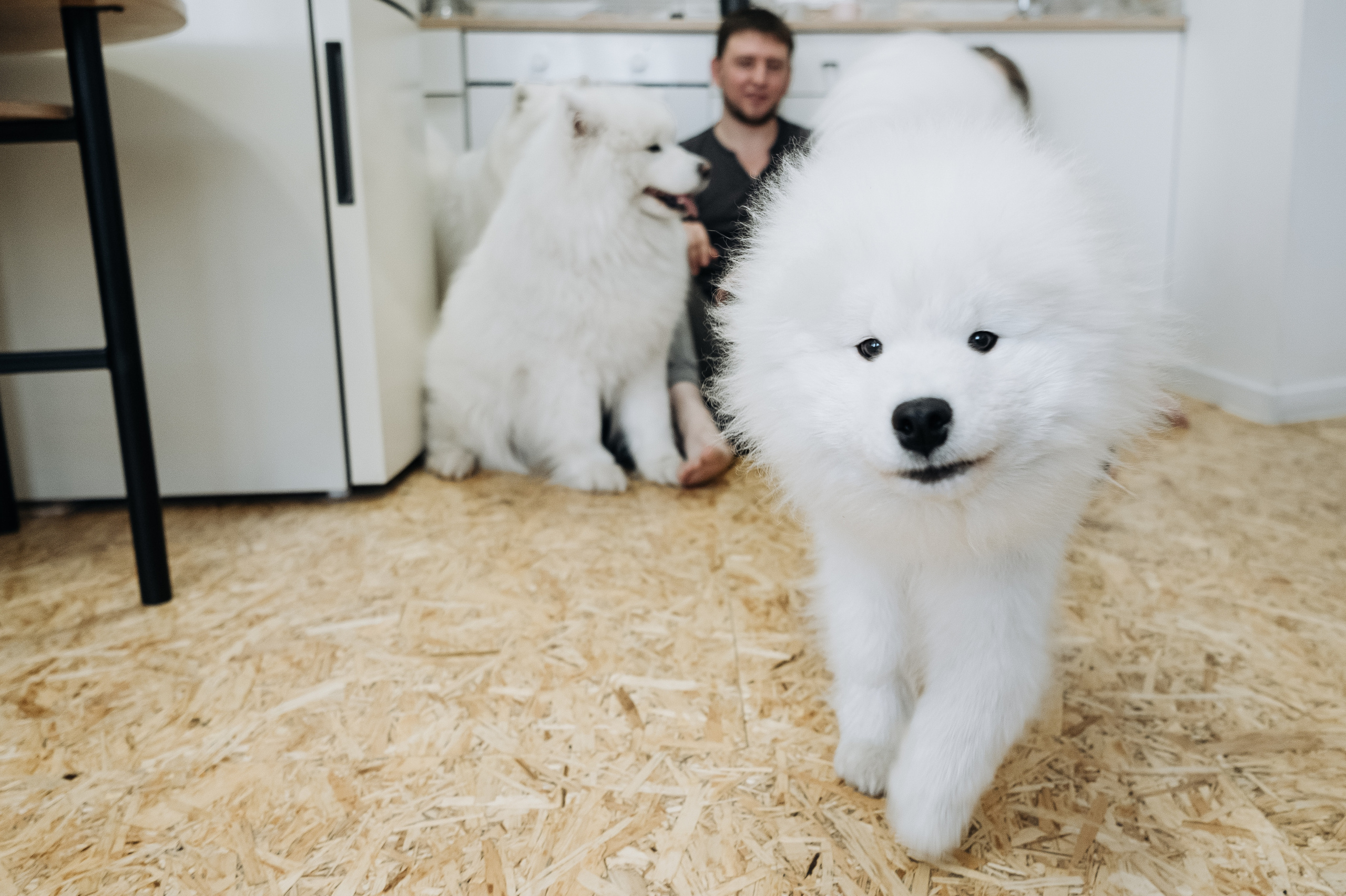 Оля, Саша, Сережа