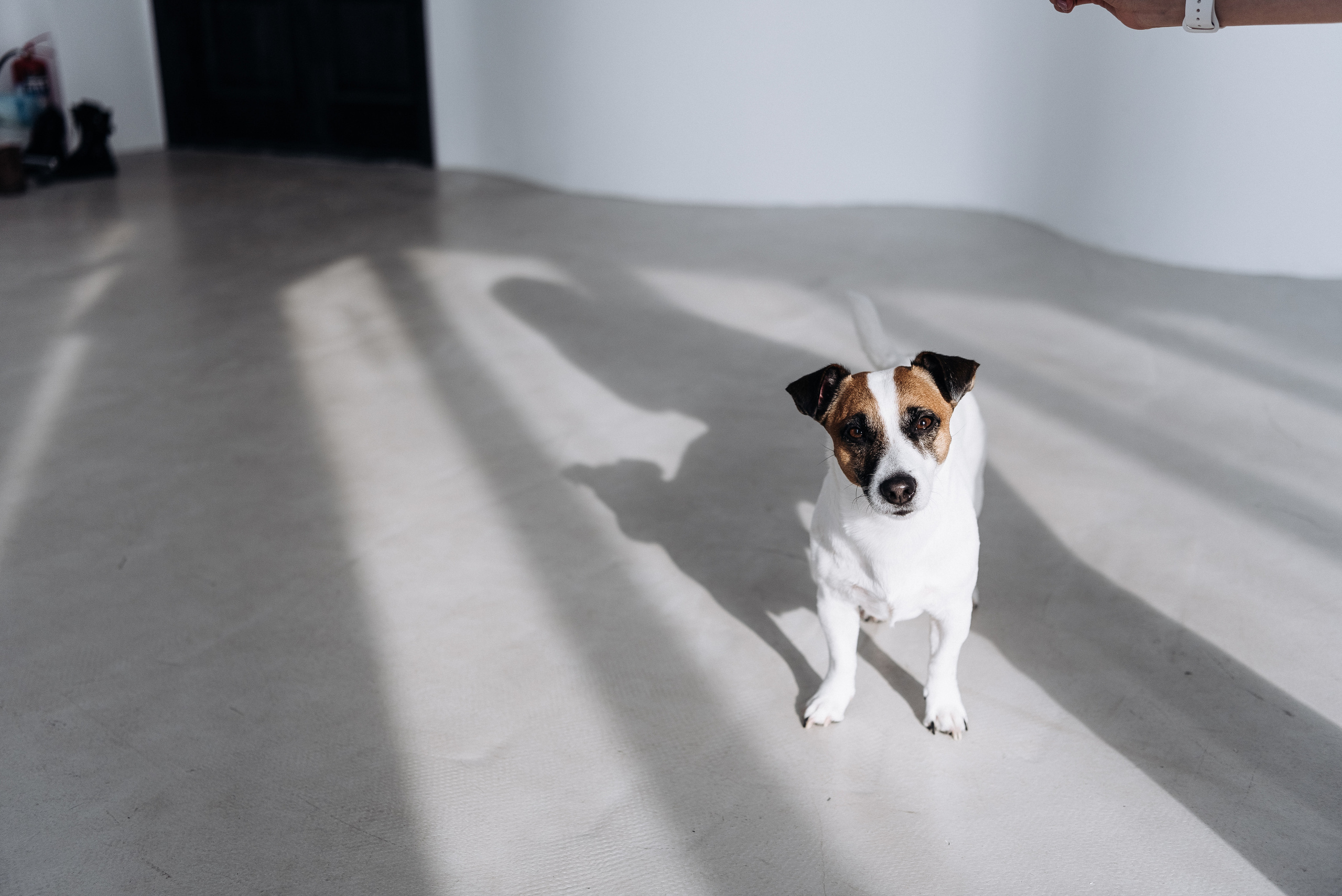 Таня и Денди