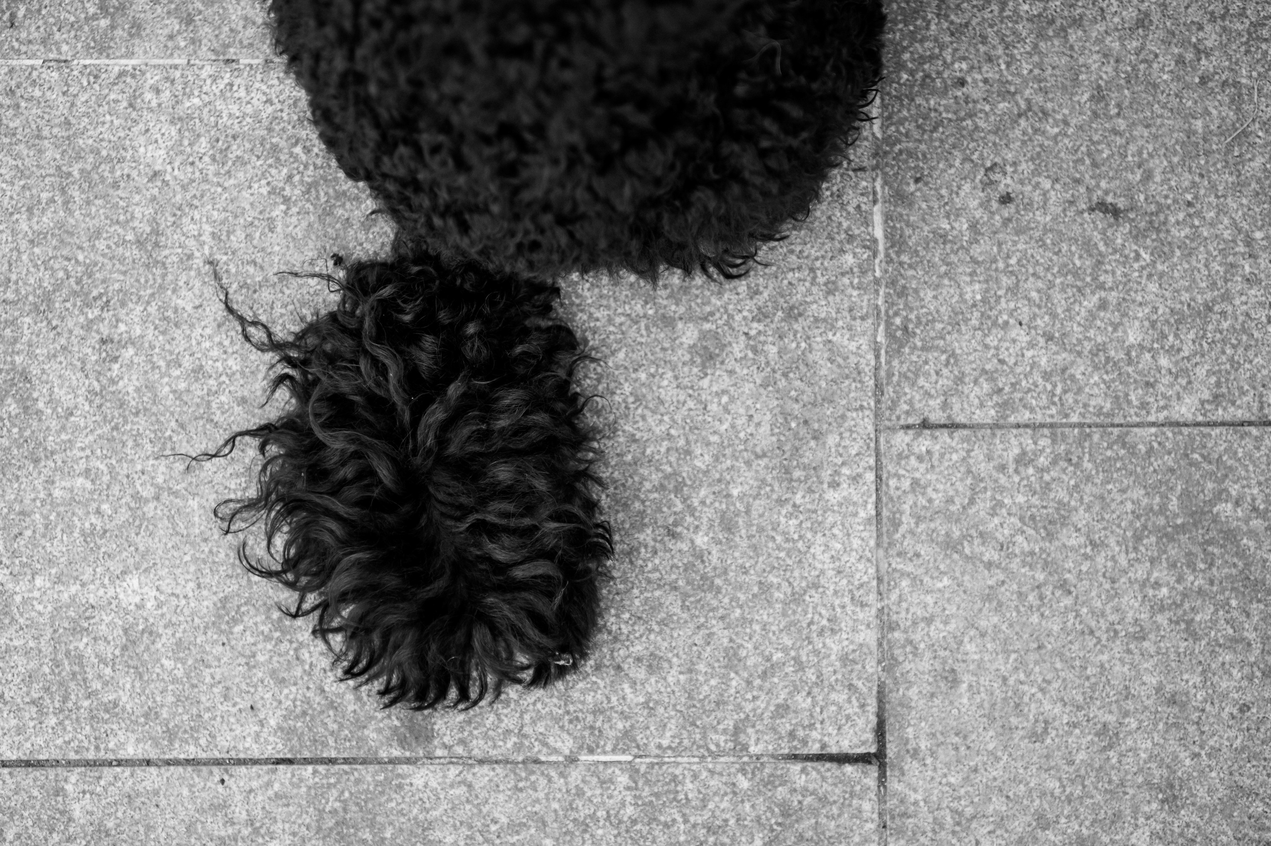 Алина и Илья