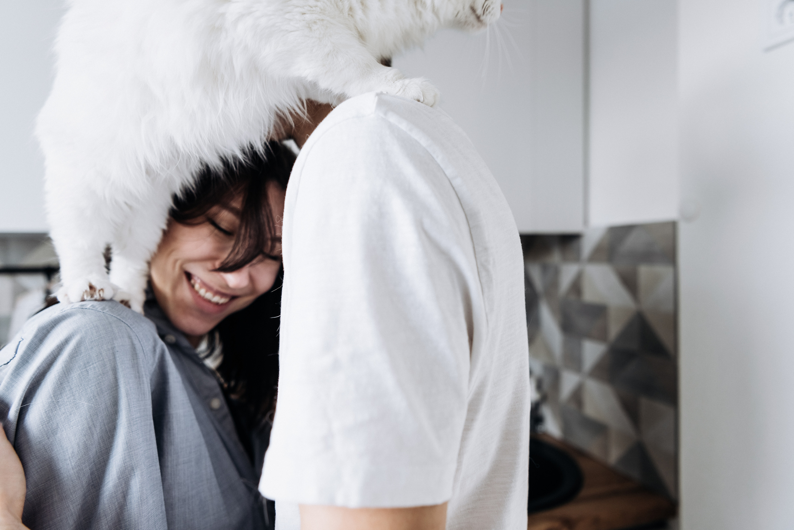 Анжела Дима и коты