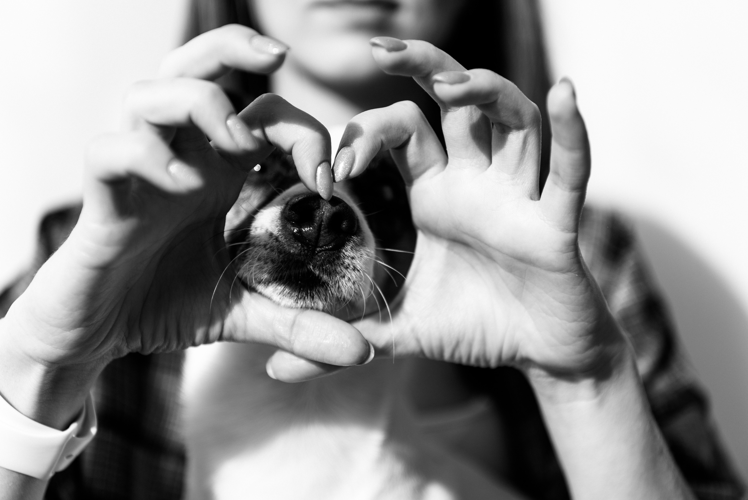 Таня и Денди