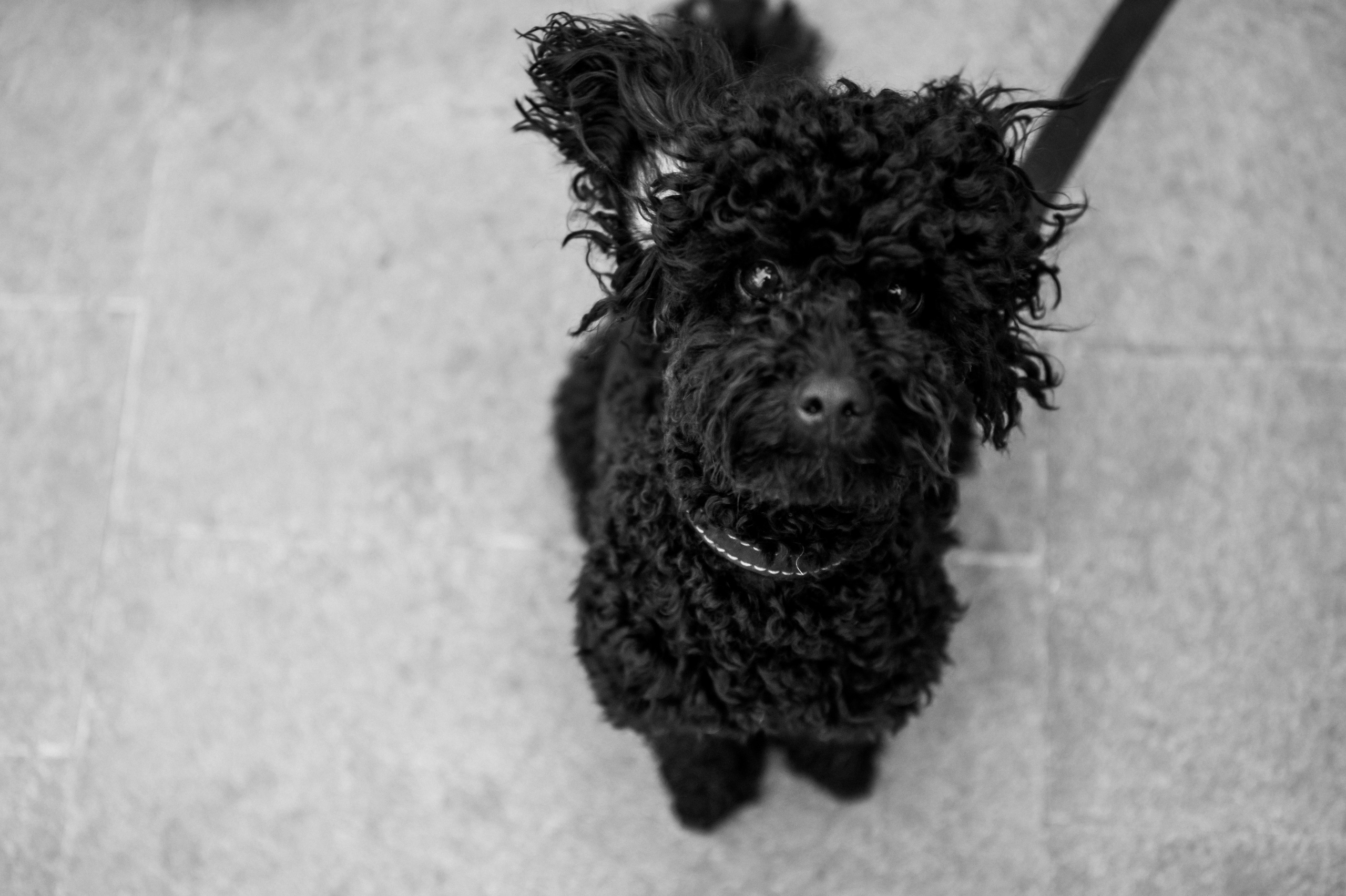 Алина и Илья