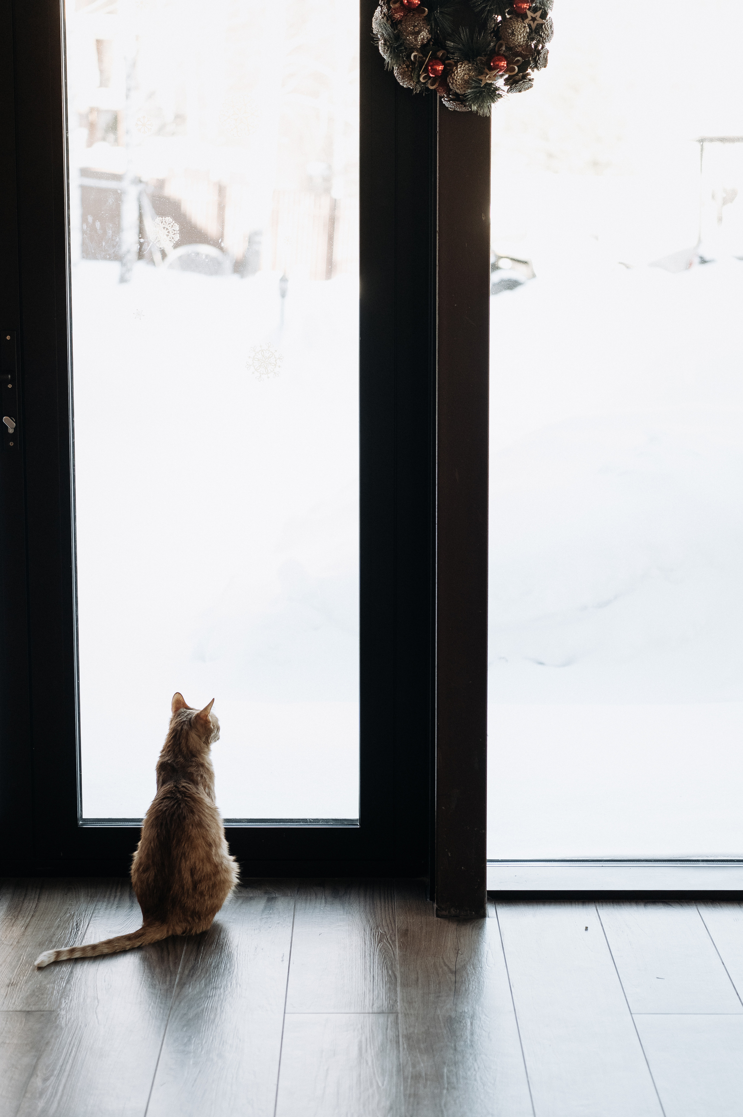 Настя, Денис, Мия