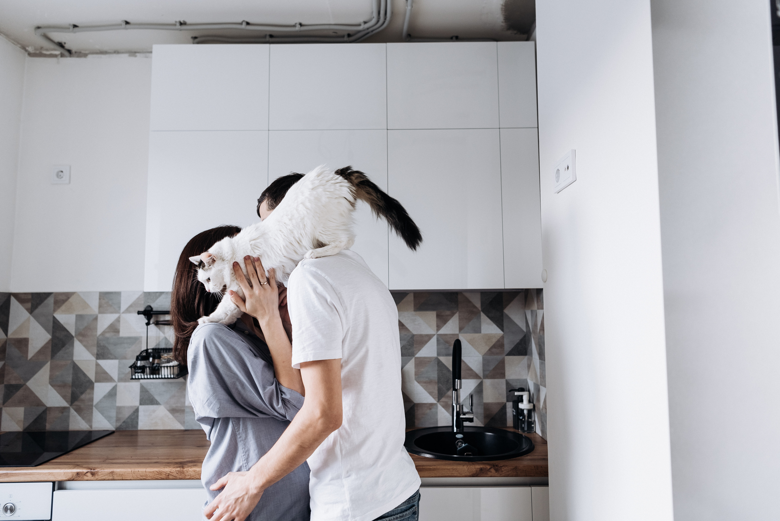 Анжела Дима и коты