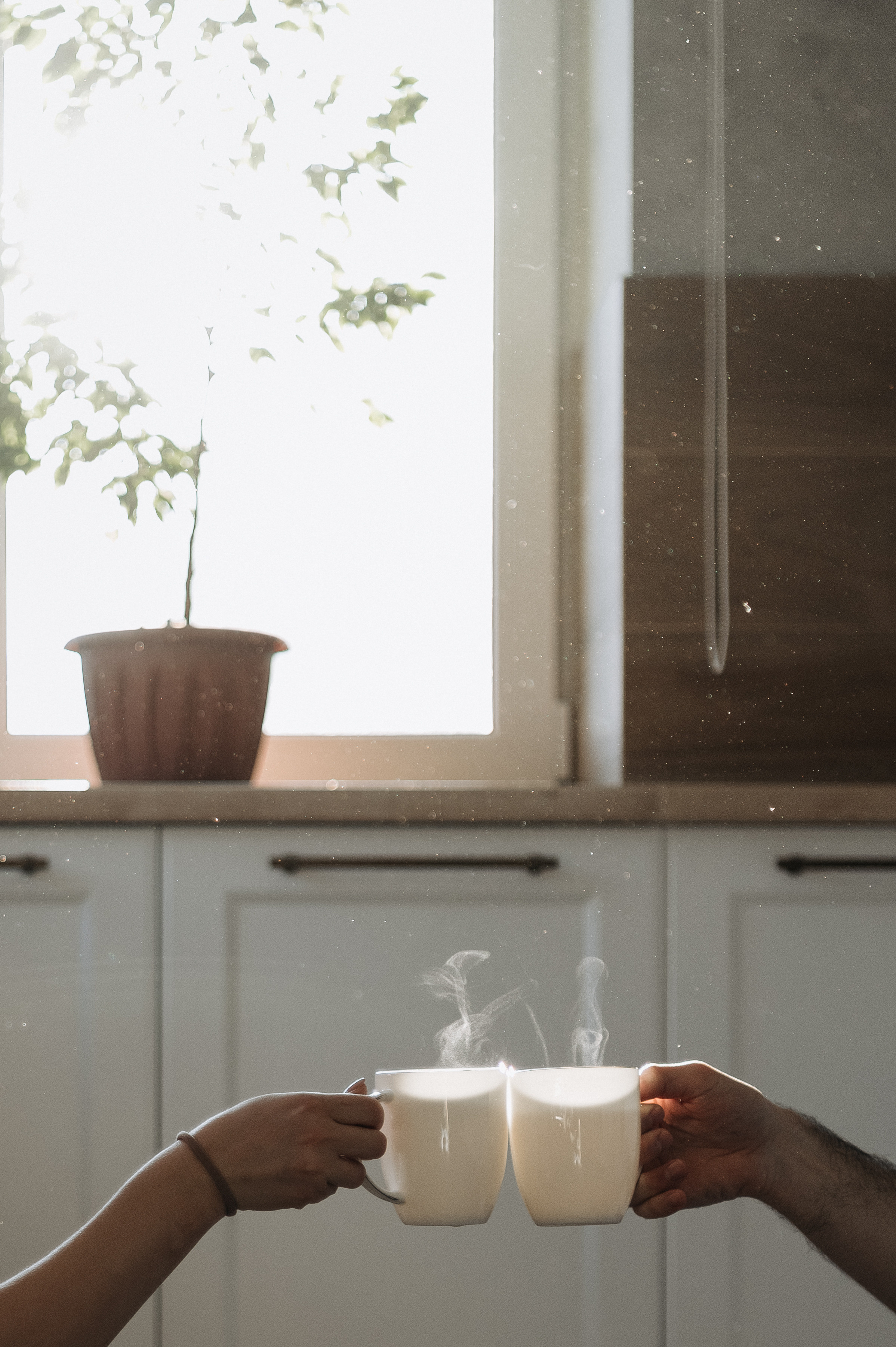 Настя, Денис, Мия