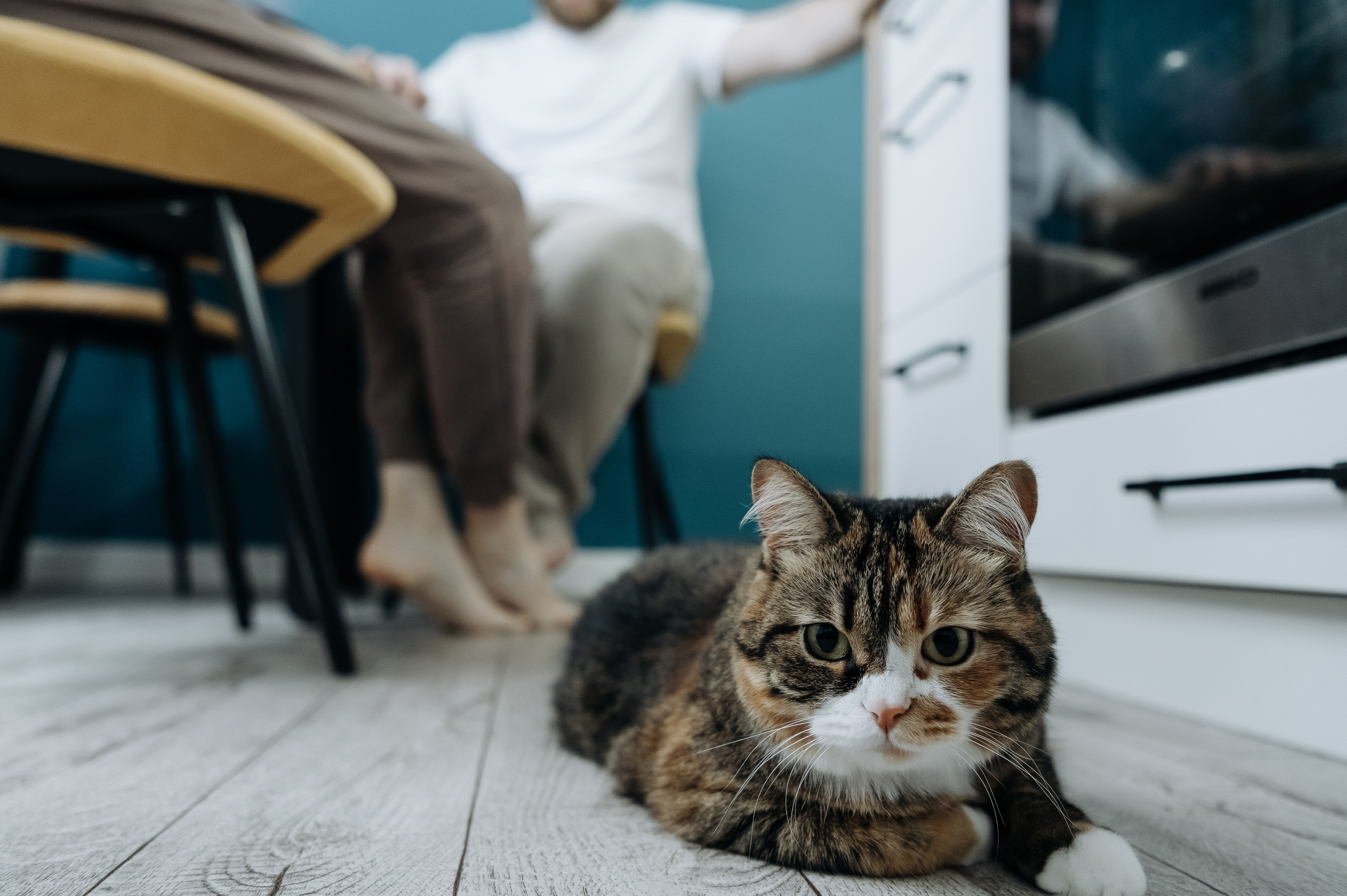 Катя Костя Кира