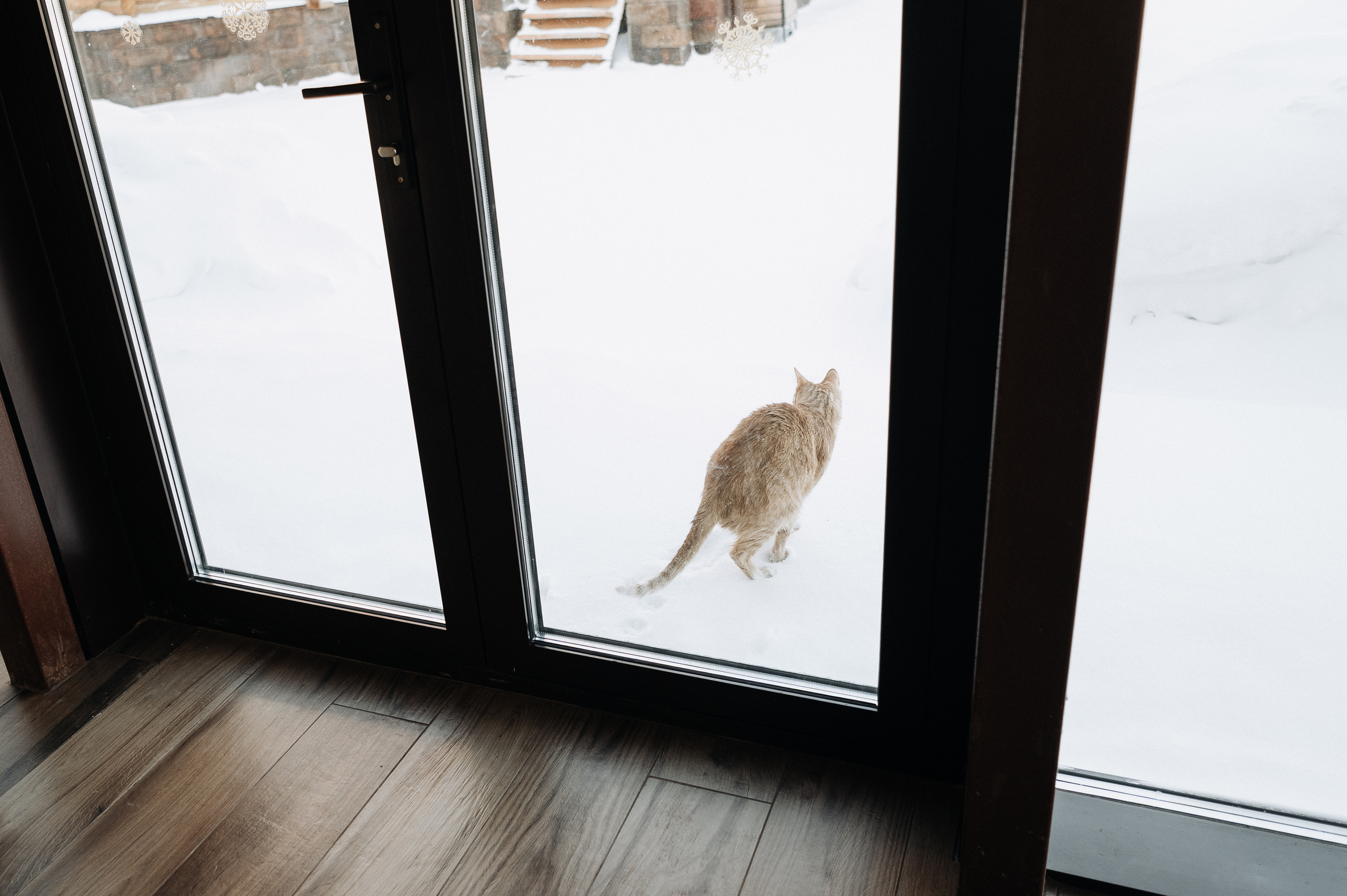 Настя, Денис, Мия