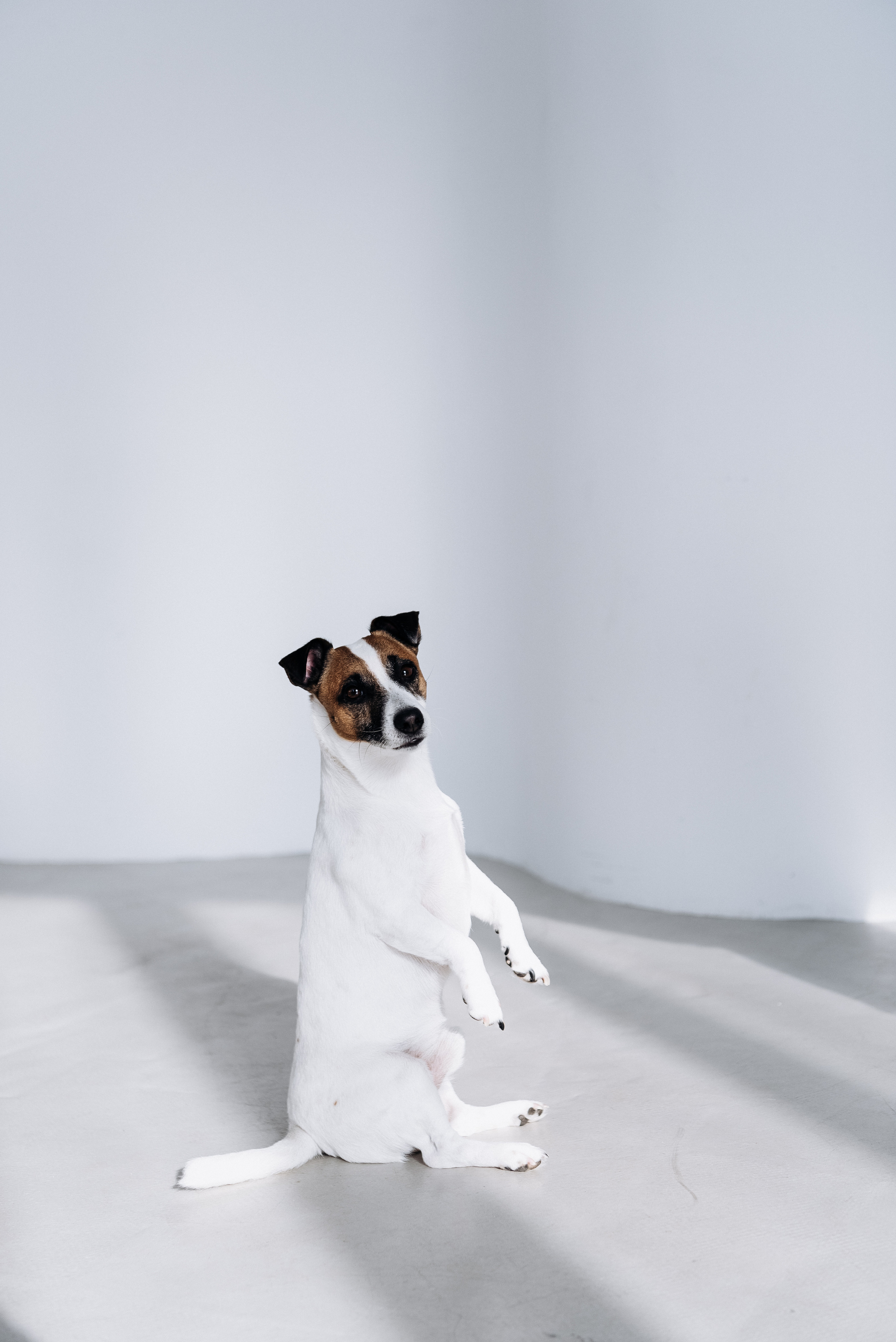 Таня и Денди