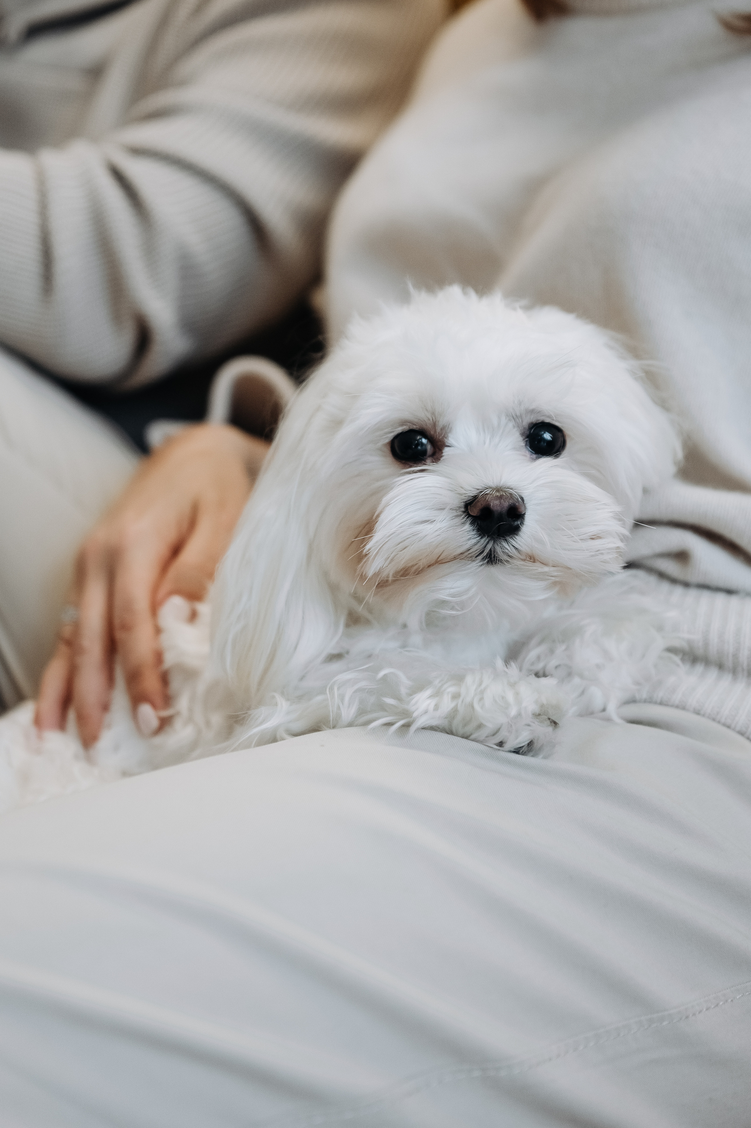 Оля, Саша, Кристина