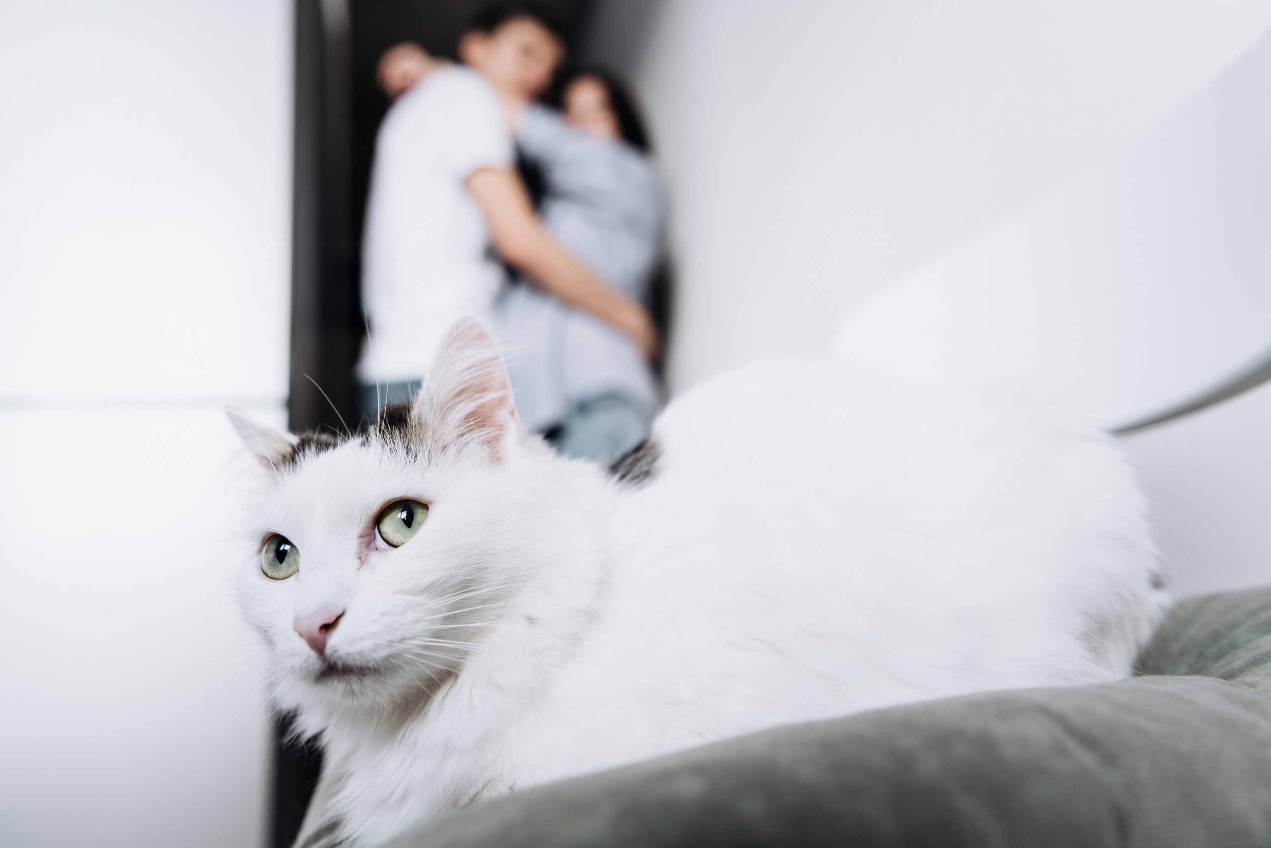 Анжела Дима и коты