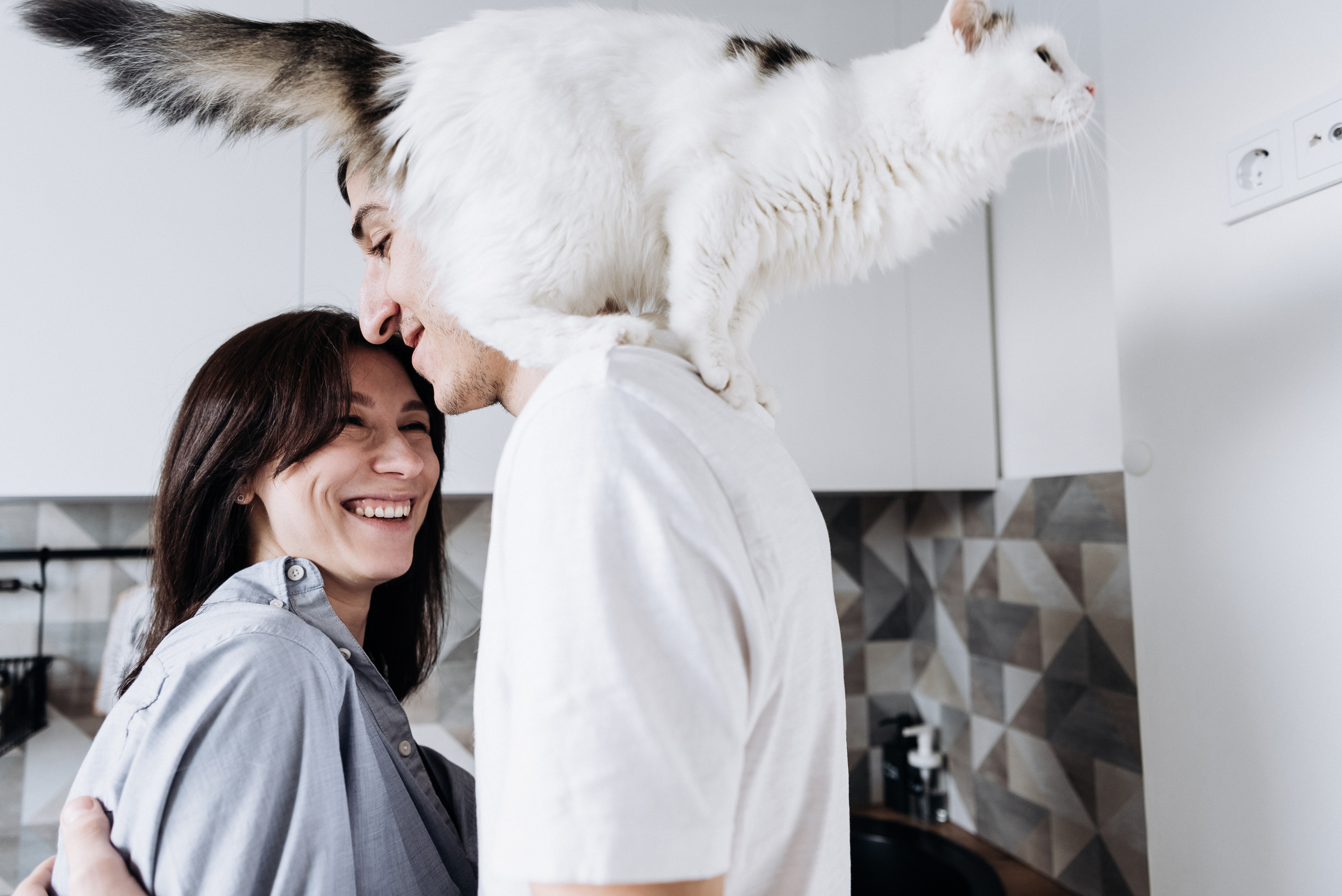 Анжела Дима и коты