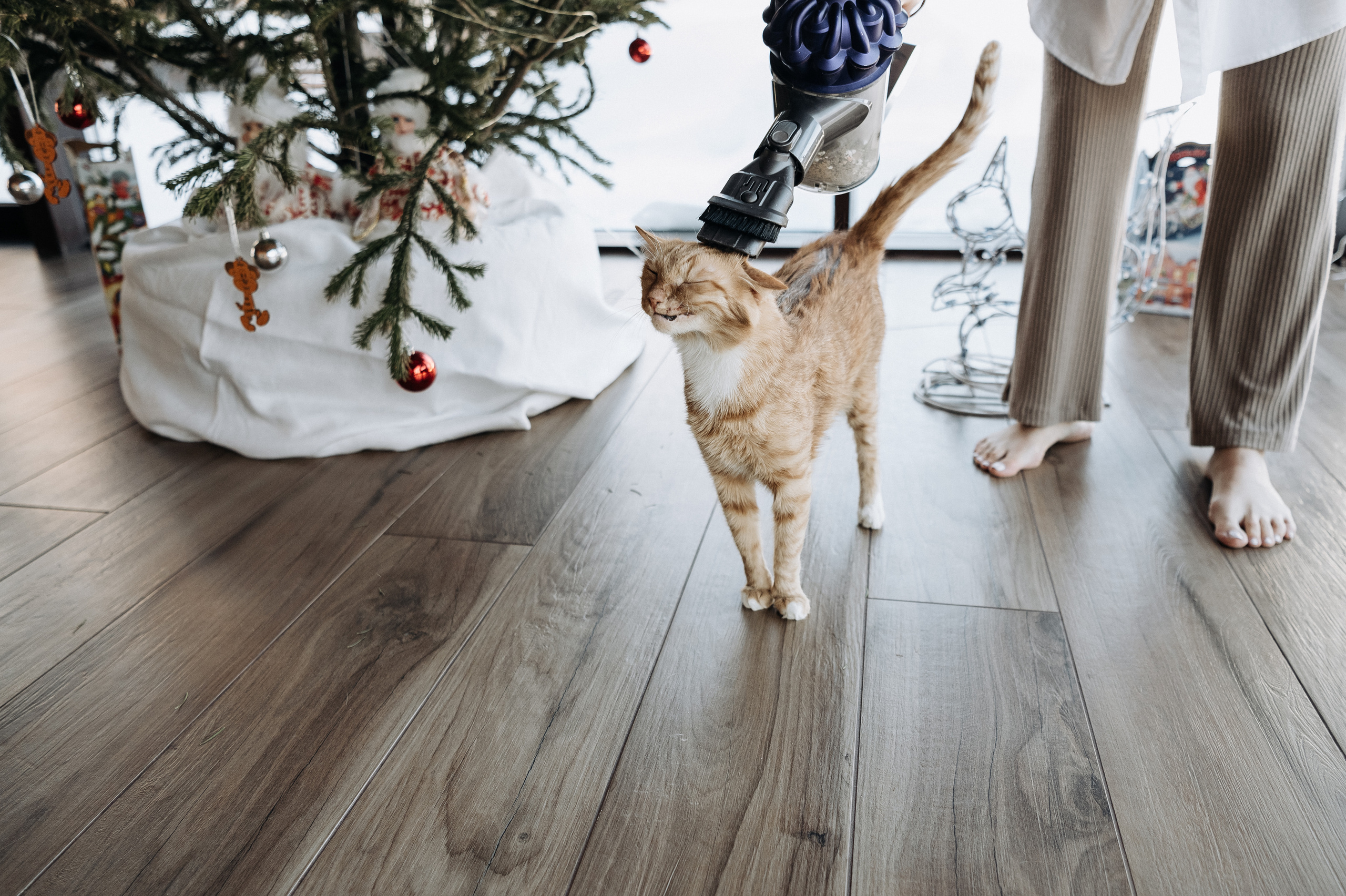 Настя, Денис, Мия