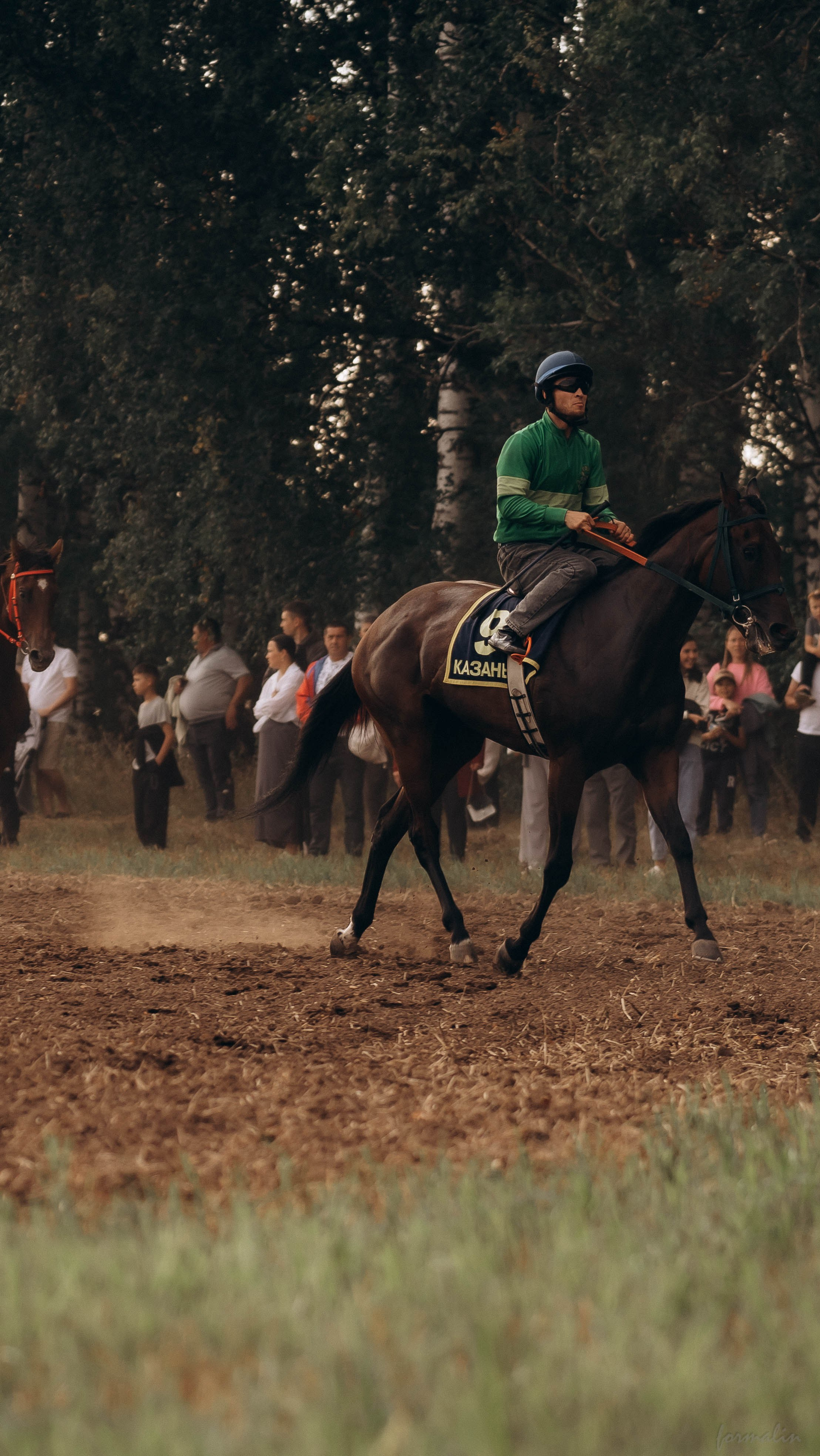 День Коня. Алиса Никитцова | Фотограф в Казани