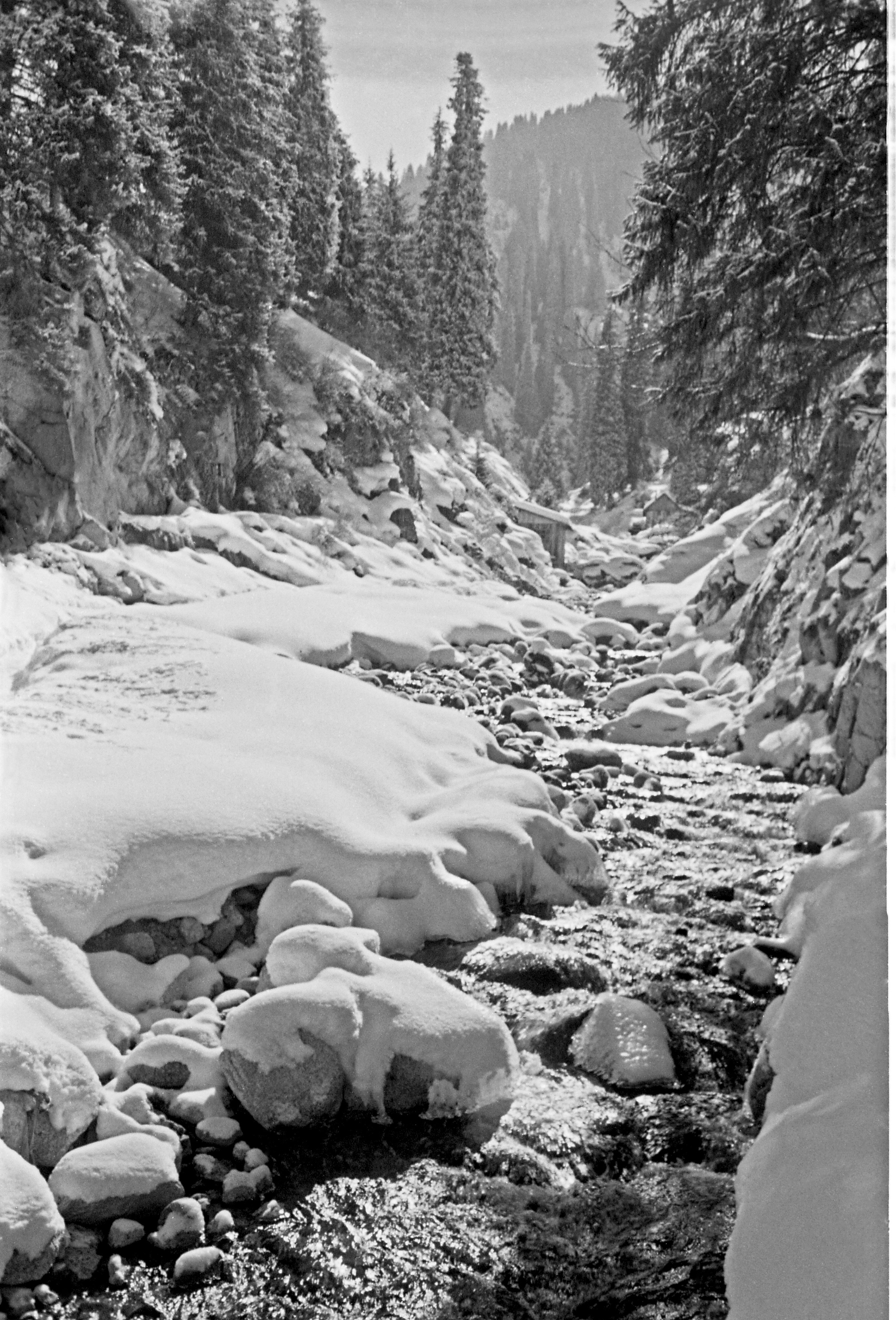 Черно-белая фотография. ВАДИМ ГИППЕНРЕЙТЕР — ВЕЛИКИЙ ФОТОГРАФ ЗЕМЛИ РУССКОЙ