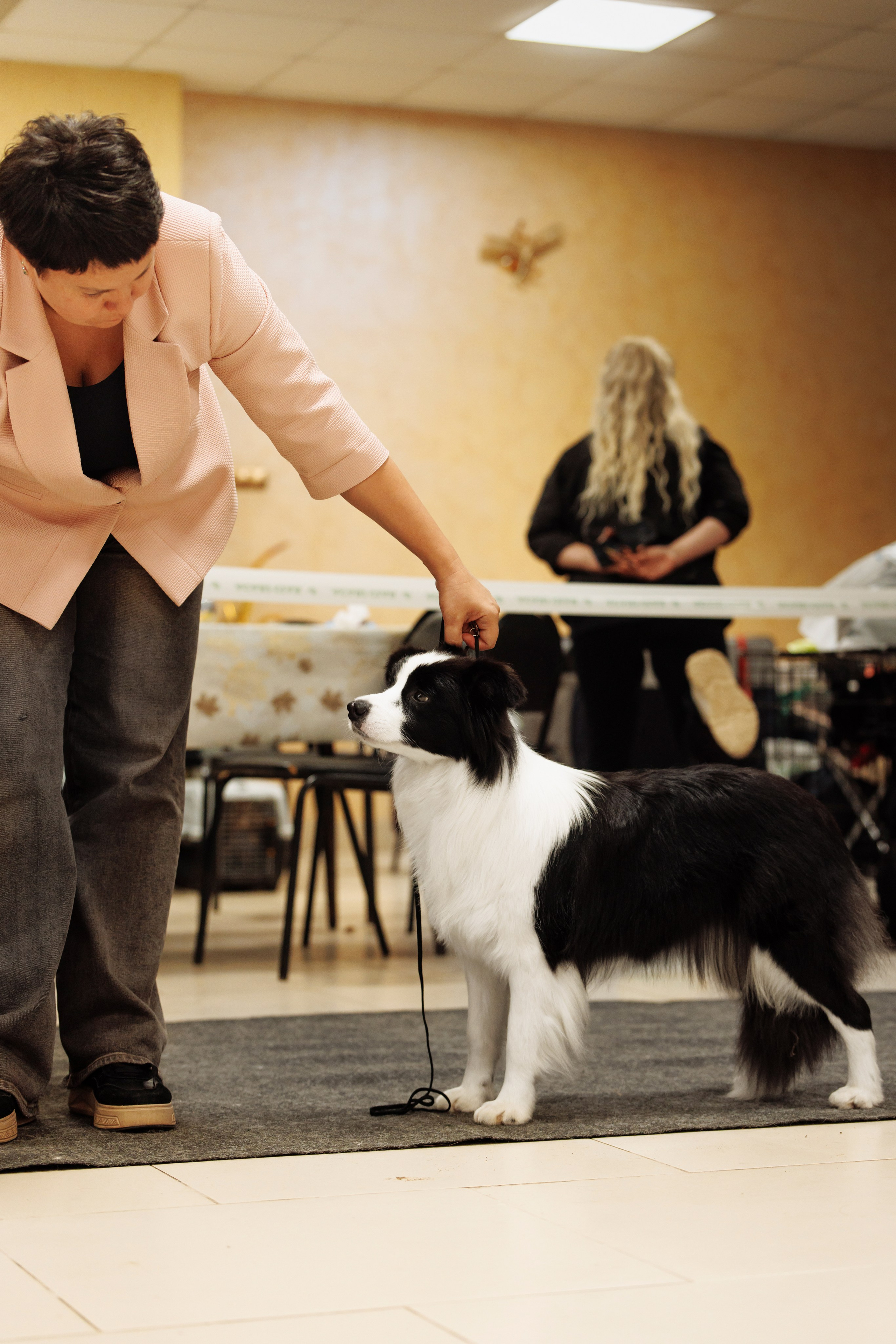 Выставка октября в Оренбурге. О нас