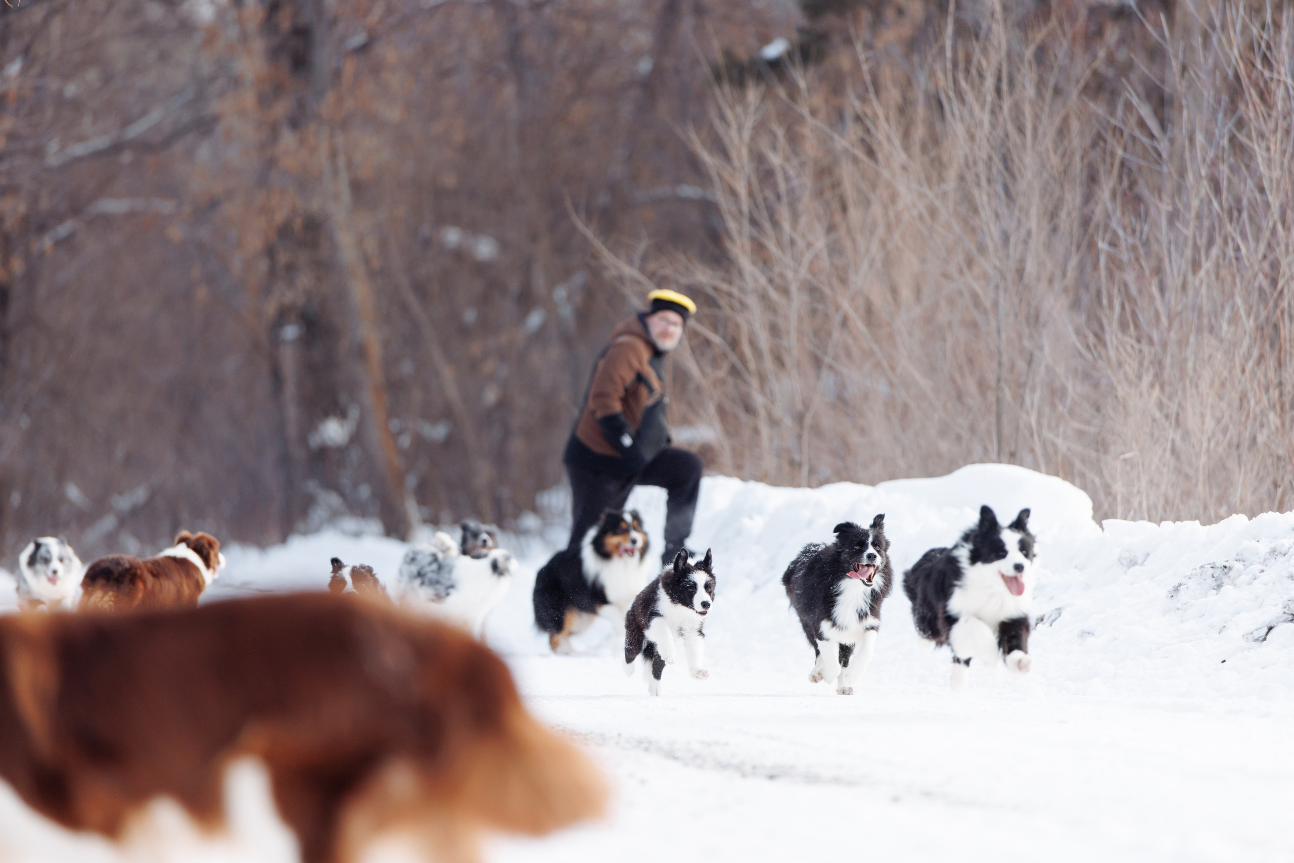 Яркий январь. О нас