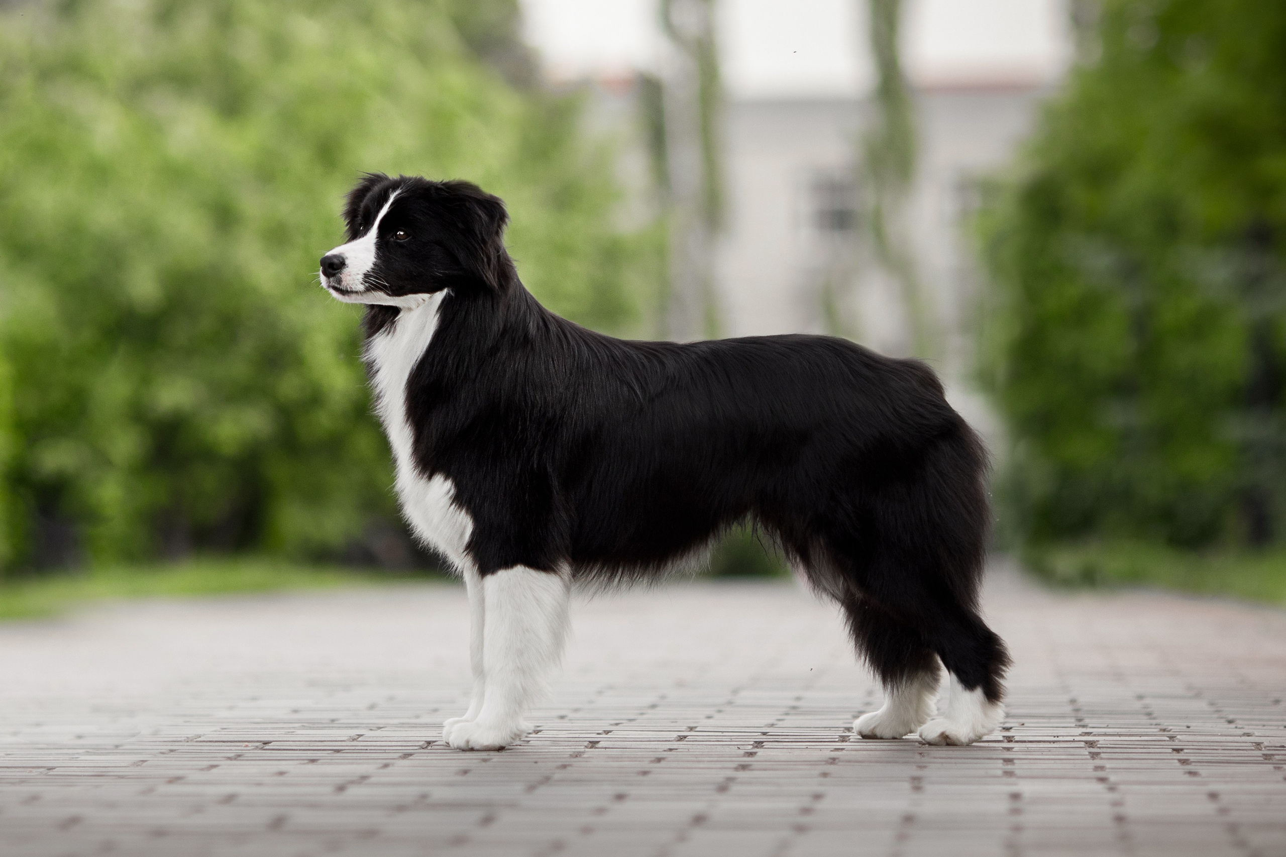 Роскошь в ростошах. О нас