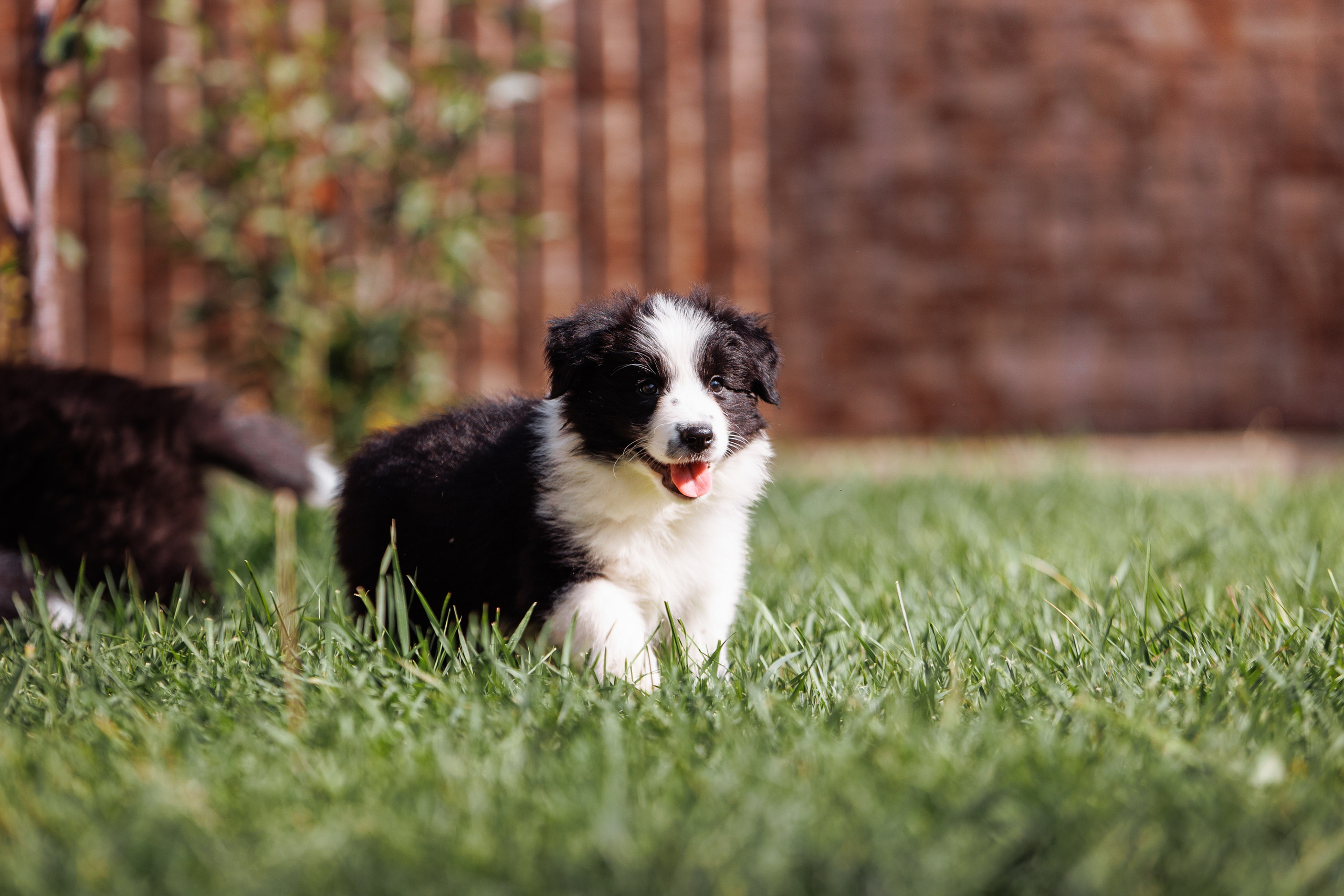 МММ — маленькое мягкое милое. О нас