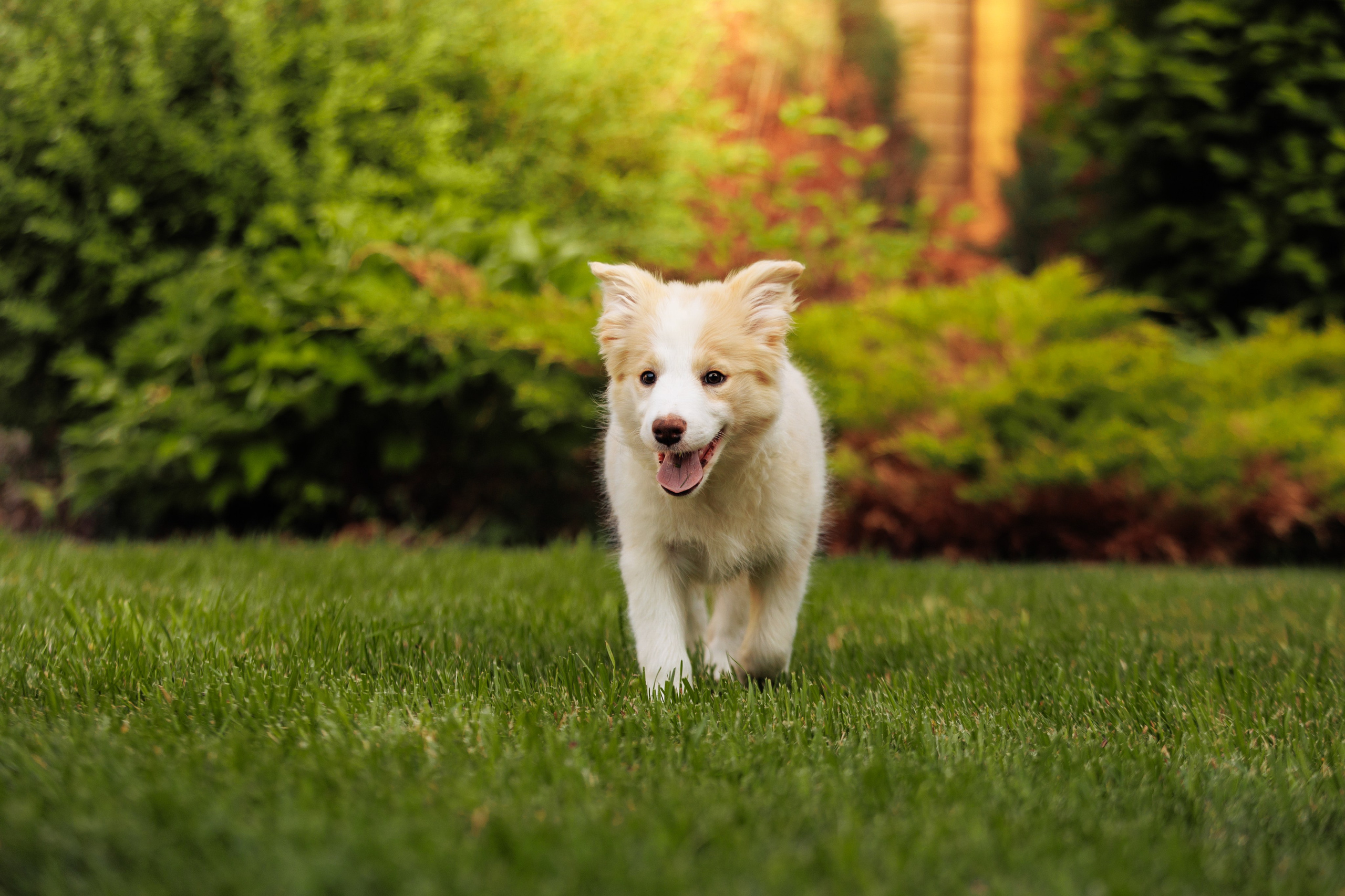 СОлнечные. О нас