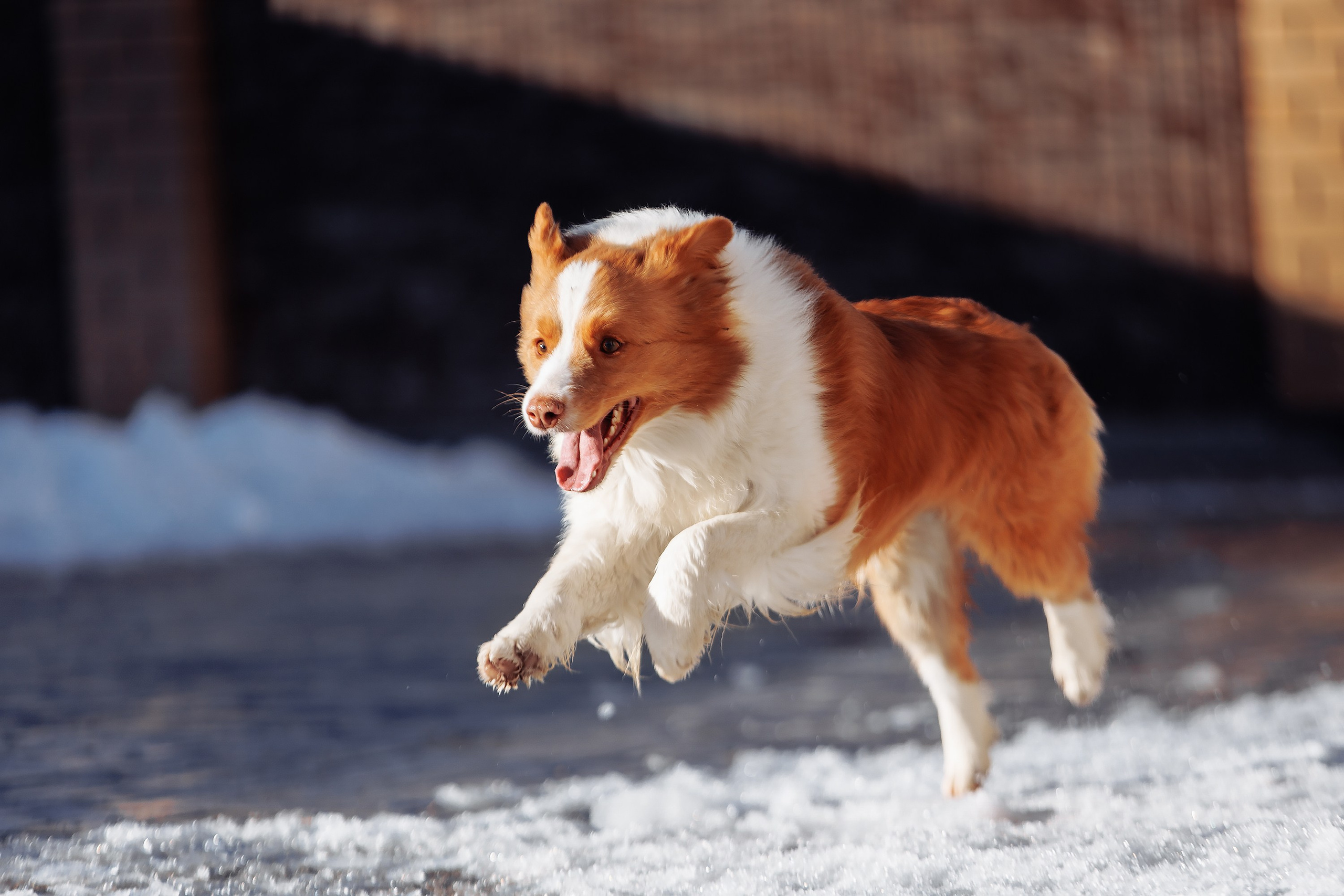 Пока таяло. О нас