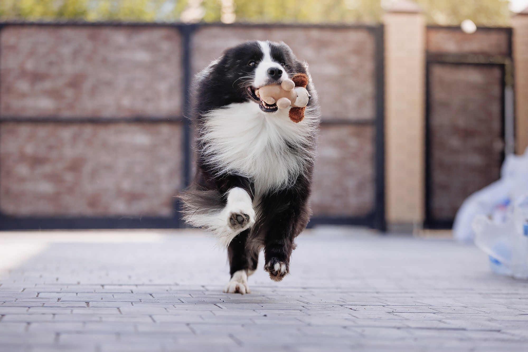 Трава у дома. О нас