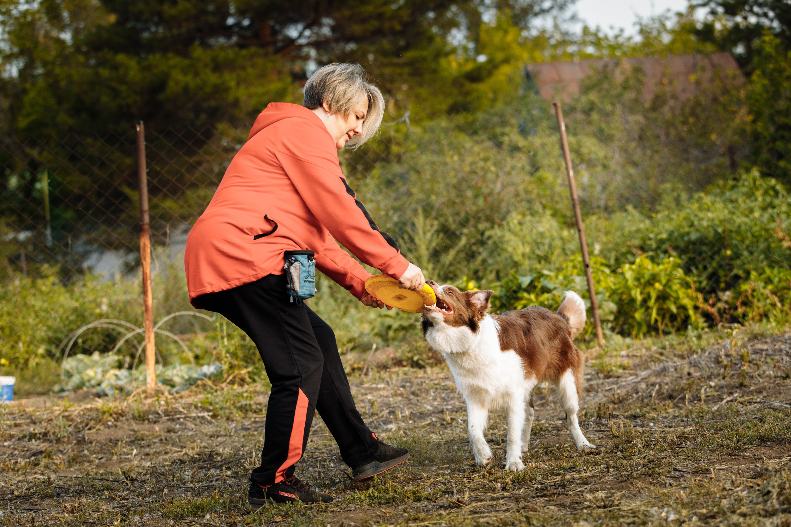 Овечий день. О нас