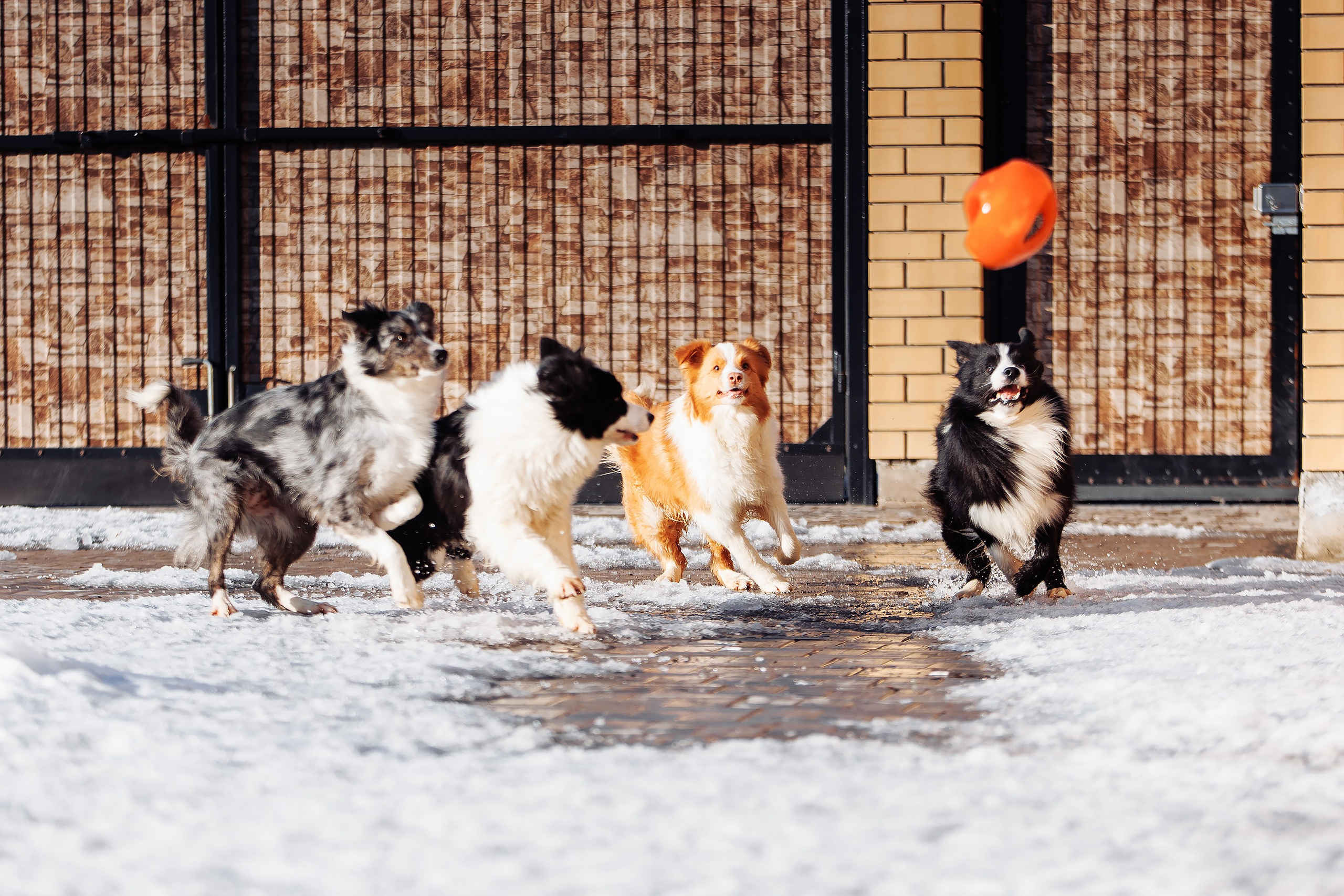 Пока таяло. О нас