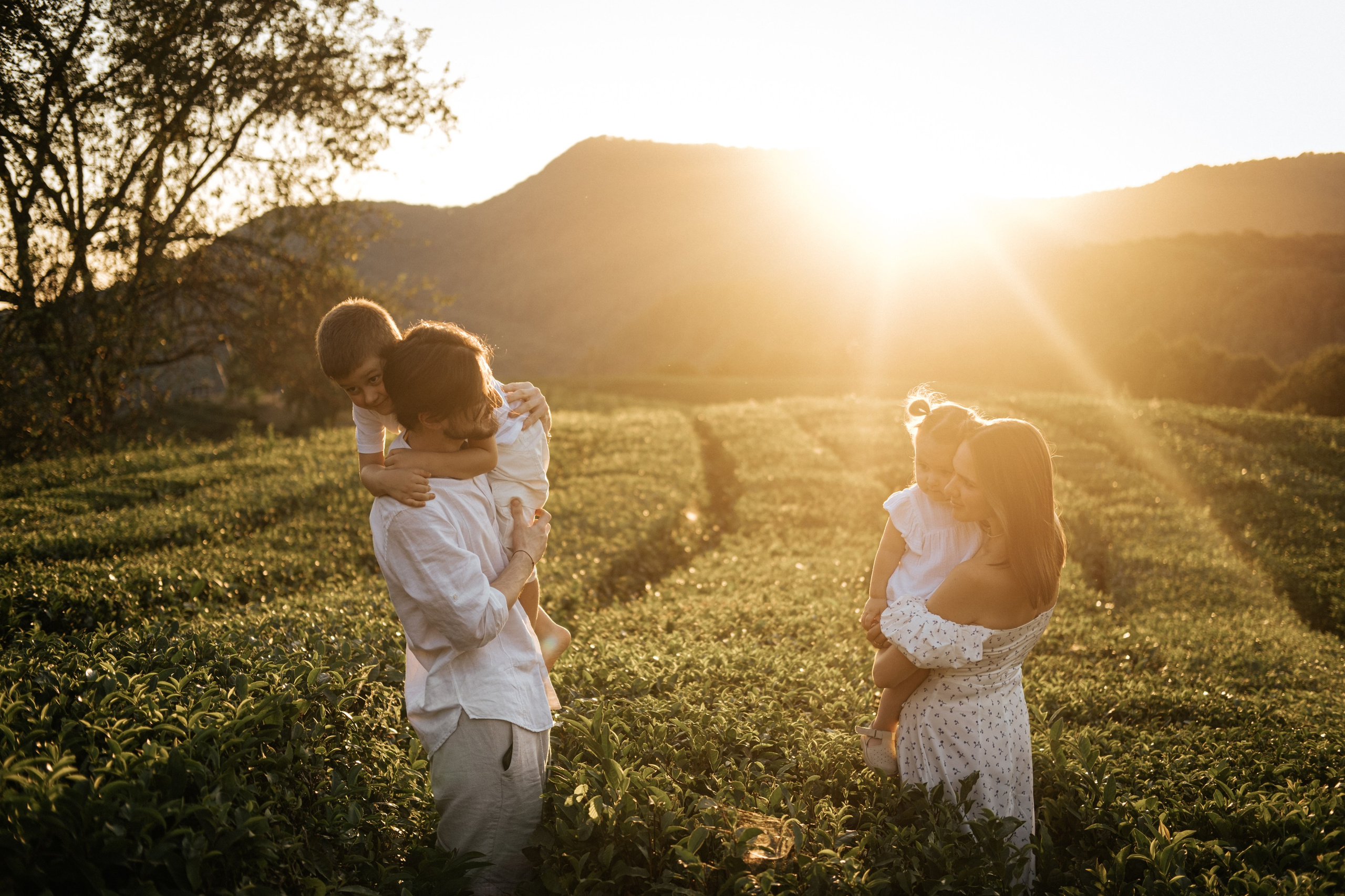 Плантации. Главная