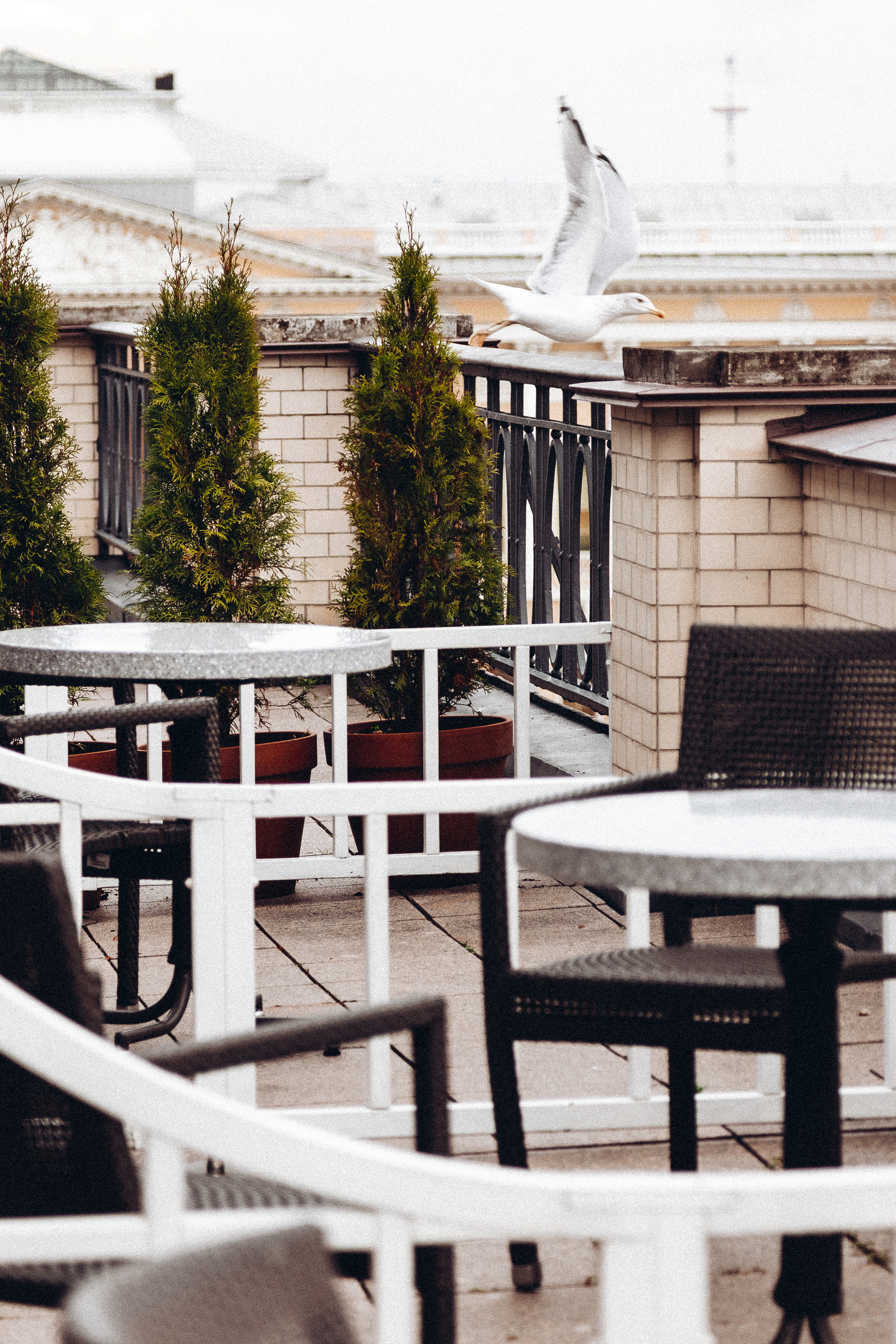 Лена. Света Полетаева Москва