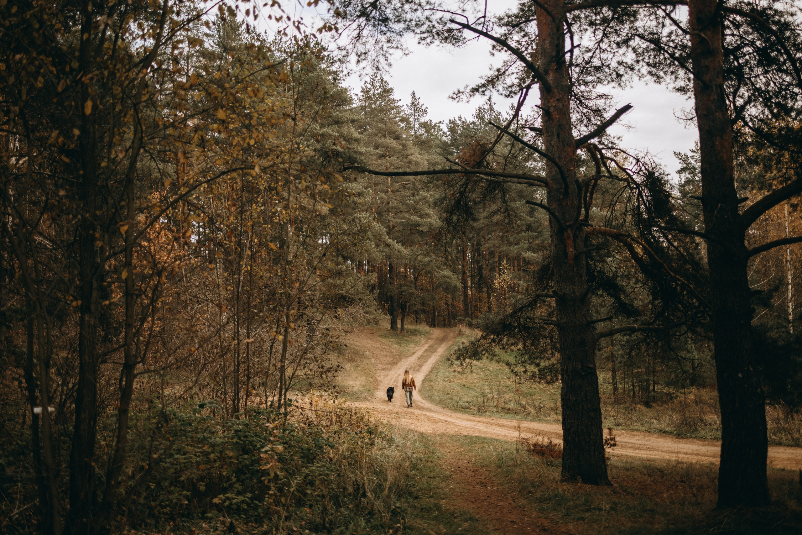 Лора и Джанго. Фотограф — Анималист | Санкт-Петербург