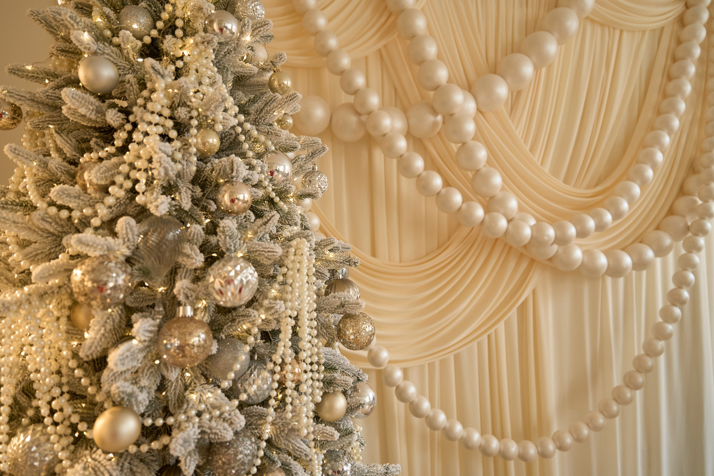 Париж (Paris). Фотограф г. Хабаровск. Семейные и индивидуальные съёмки